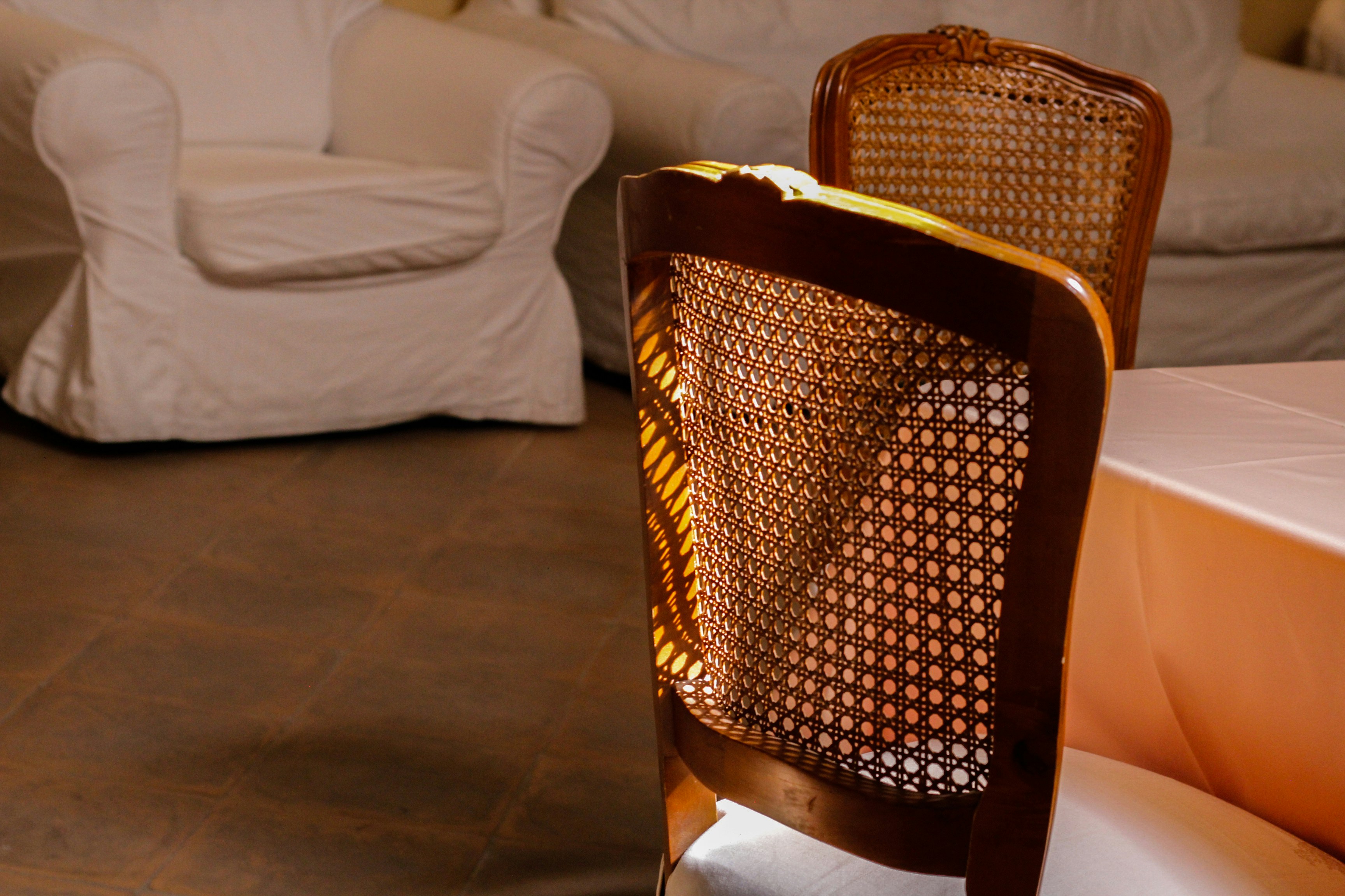 Photo by calorcreative