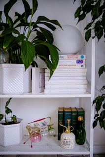 a white shelf with books and plants on it