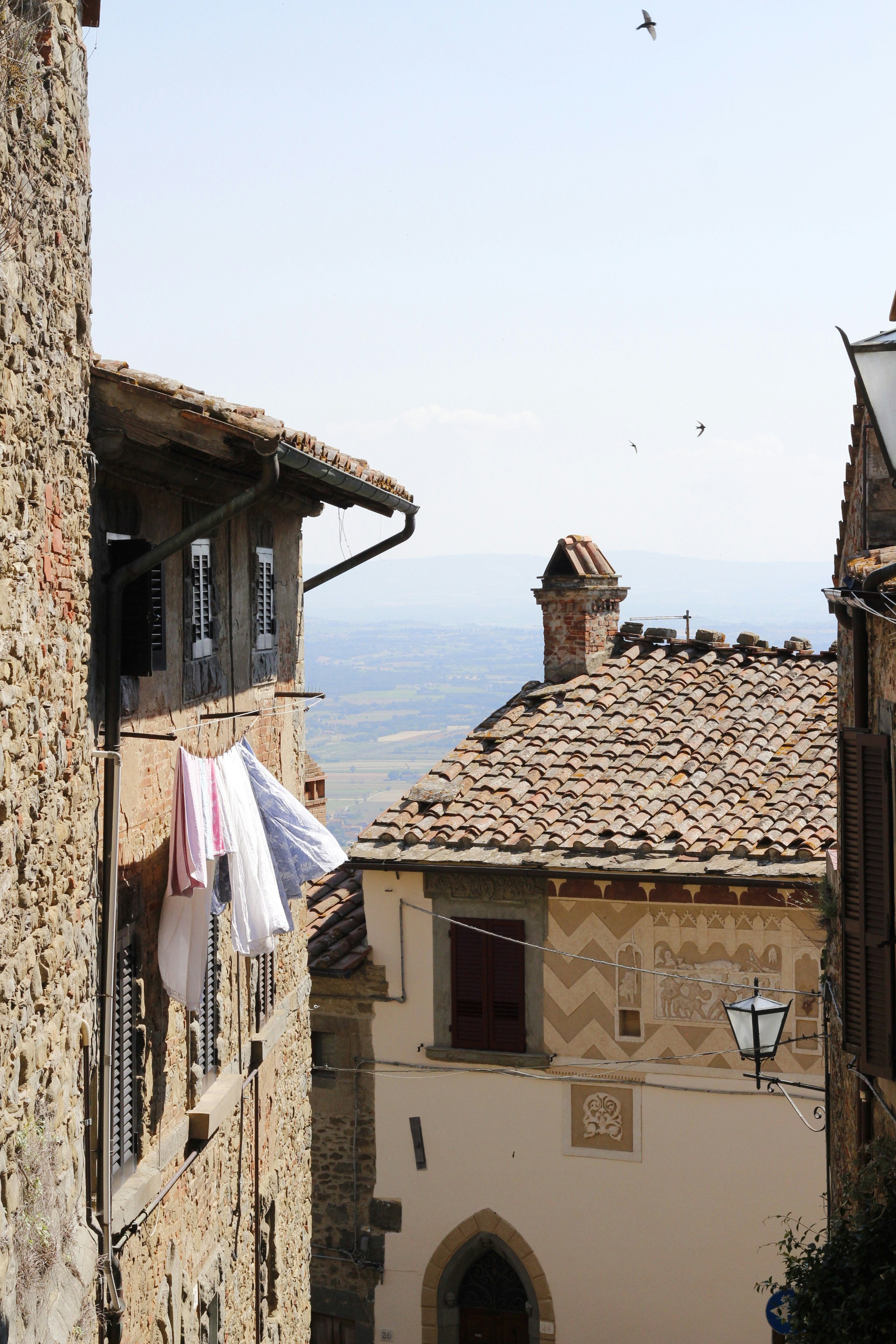 Photo by calorcreative