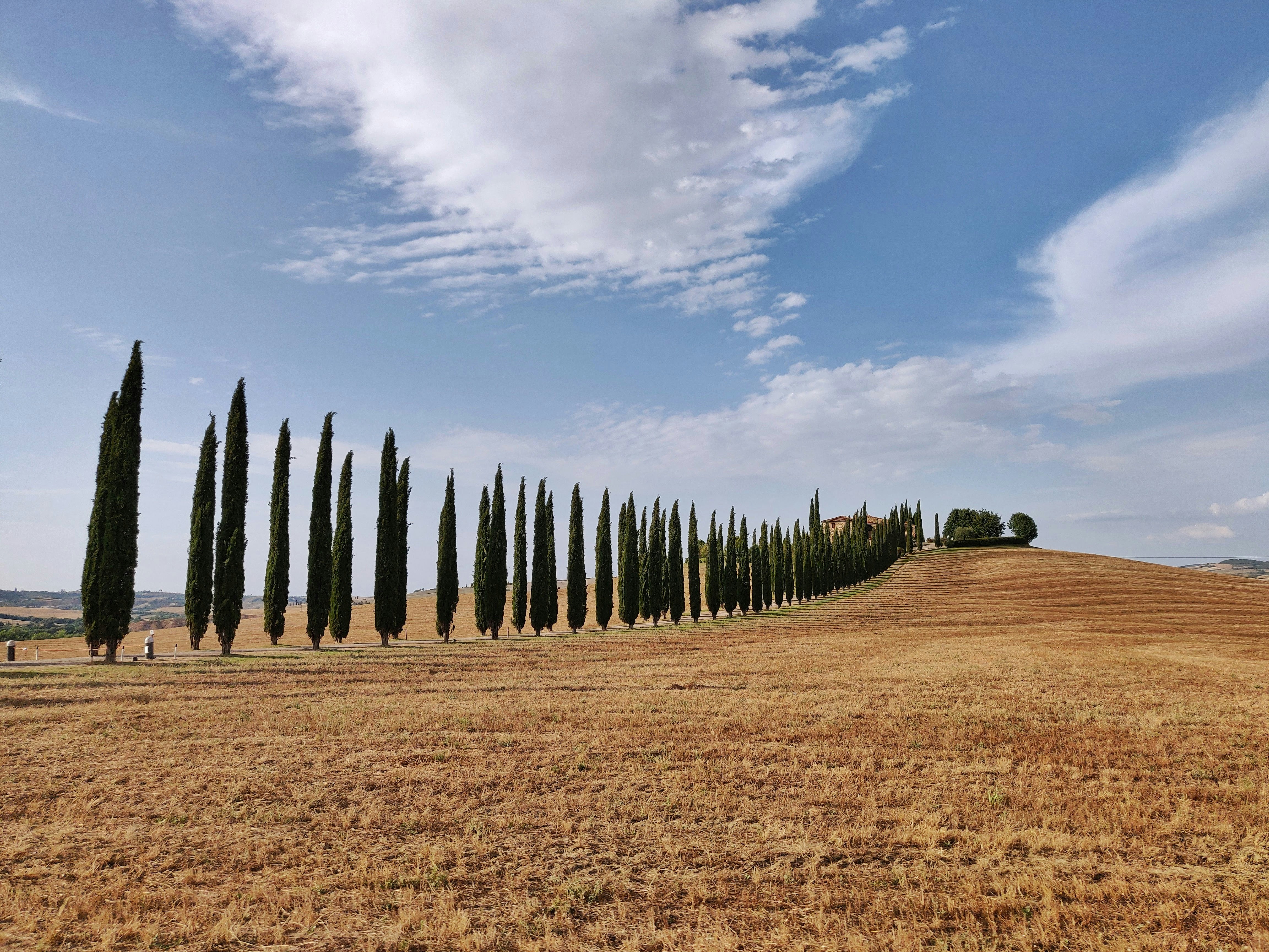 Photo by alessiamarcon