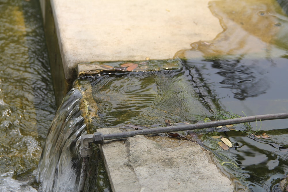 a stream of water flowing from a pipe into a pond