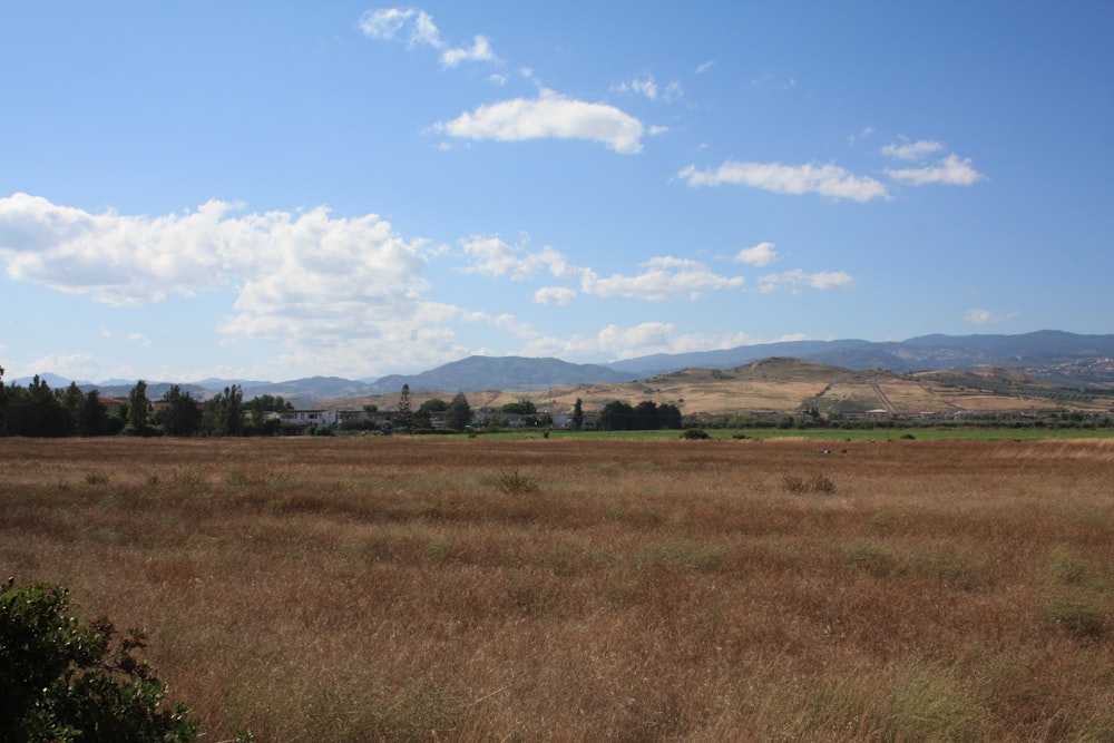 a grassy field with mountains in the distance
