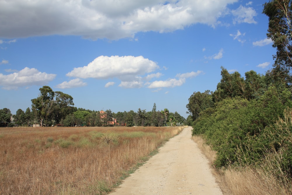 a dirt road in the middle of a field