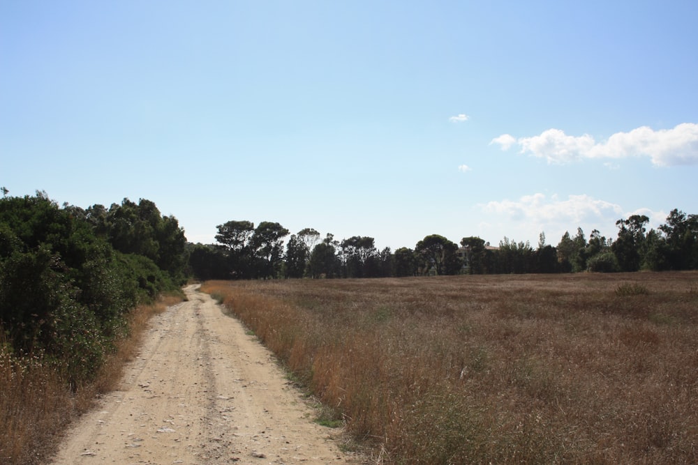 a dirt road in the middle of a field