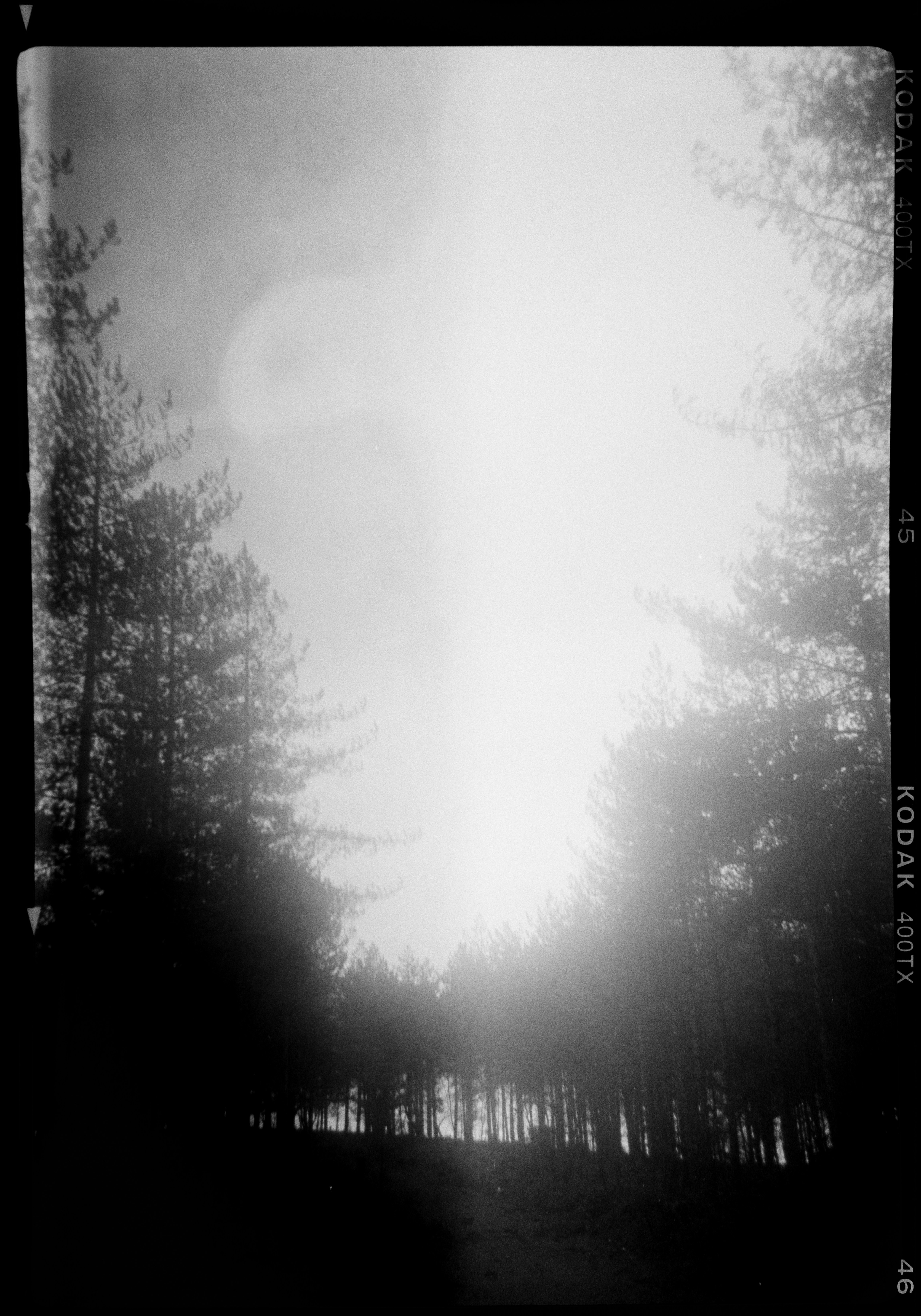 Photo by anniespratt