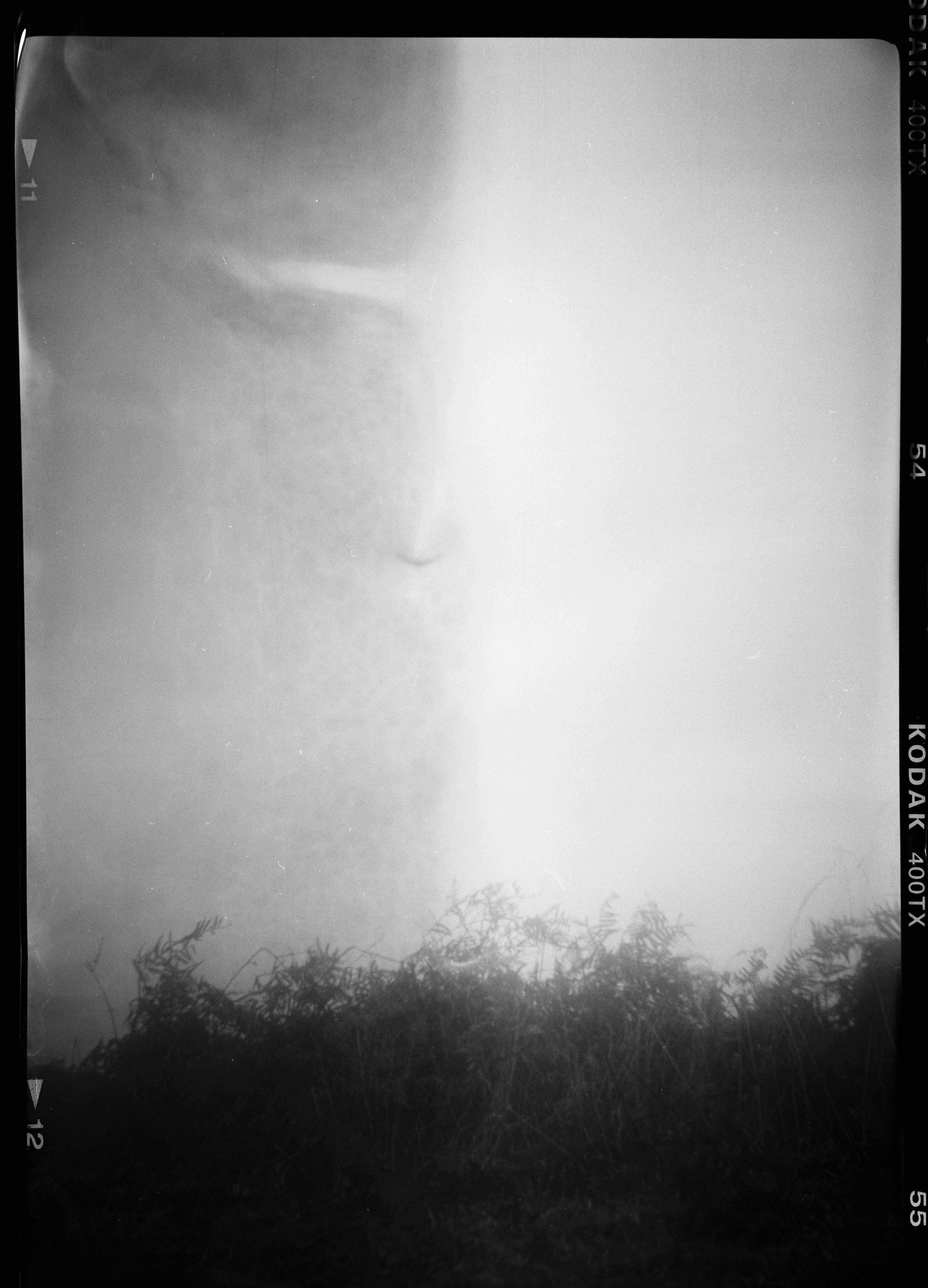 Photo by anniespratt