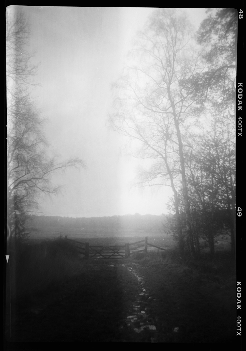 a black and white photo of a foggy field