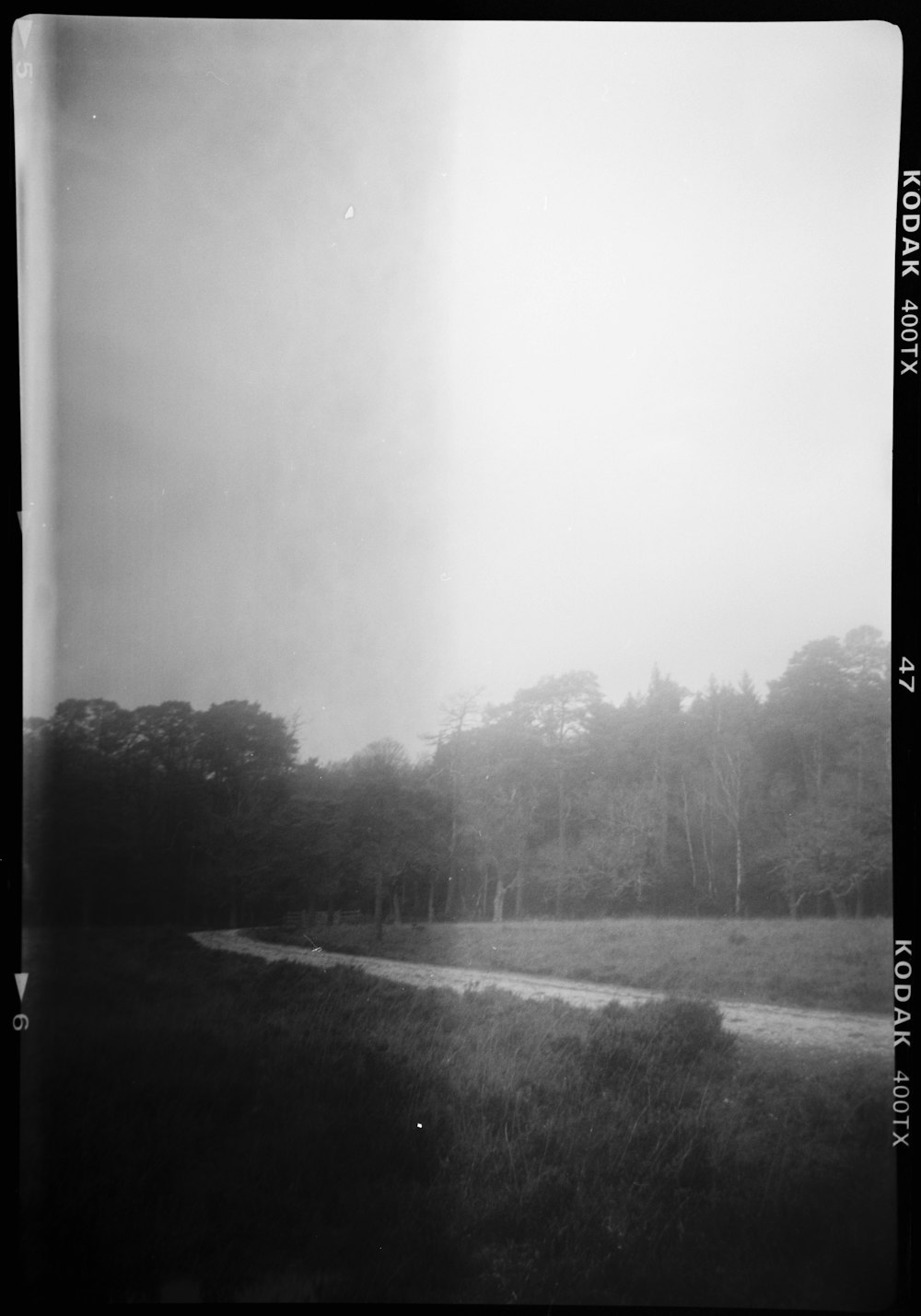 a black and white photo of a dirt road