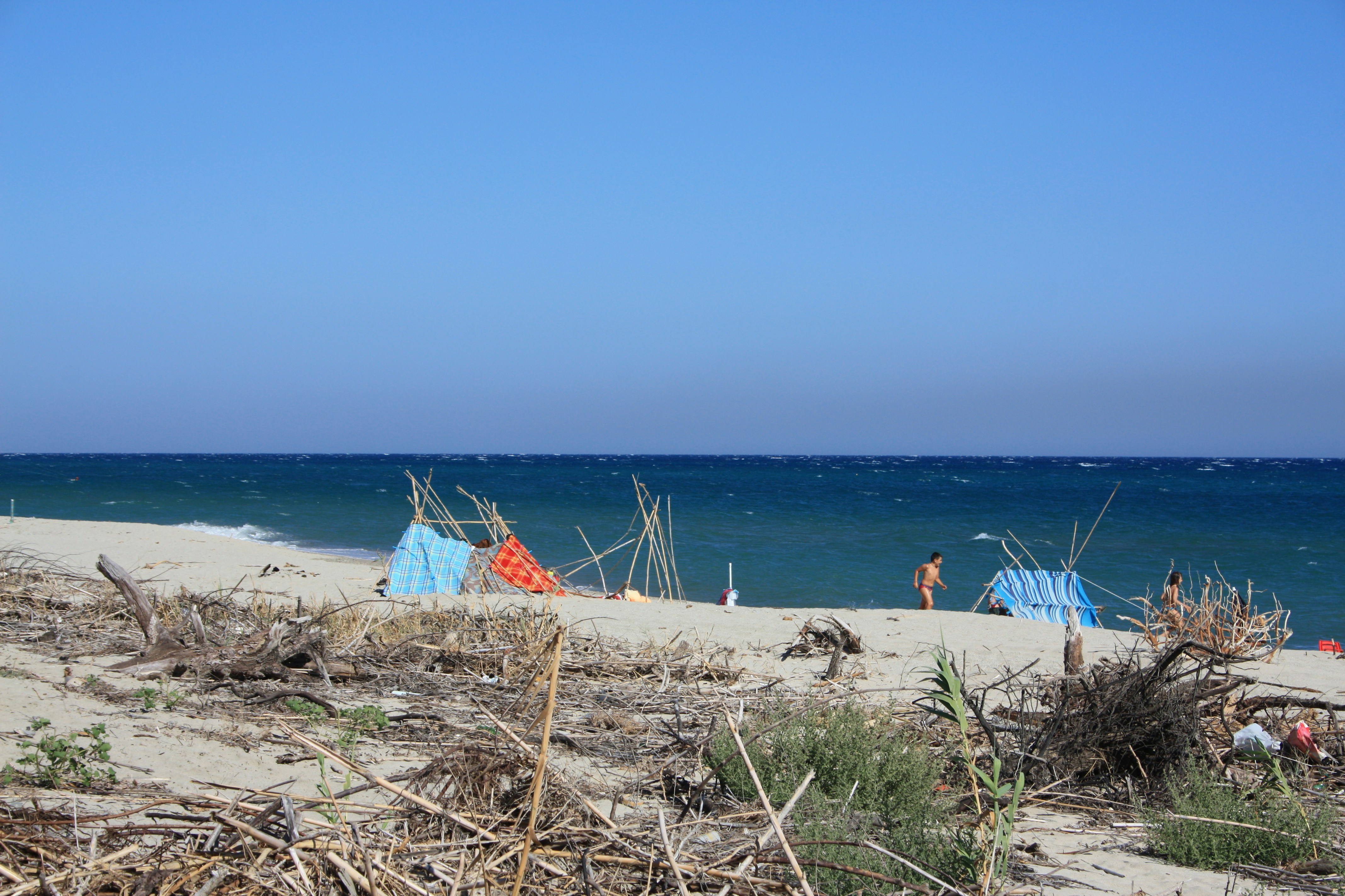 Définition de sole ruardon Dictionnaire français
