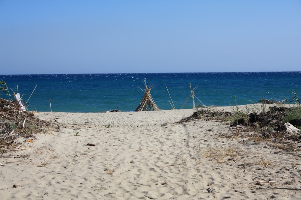 a sandy path leading to the ocean on a sunny day