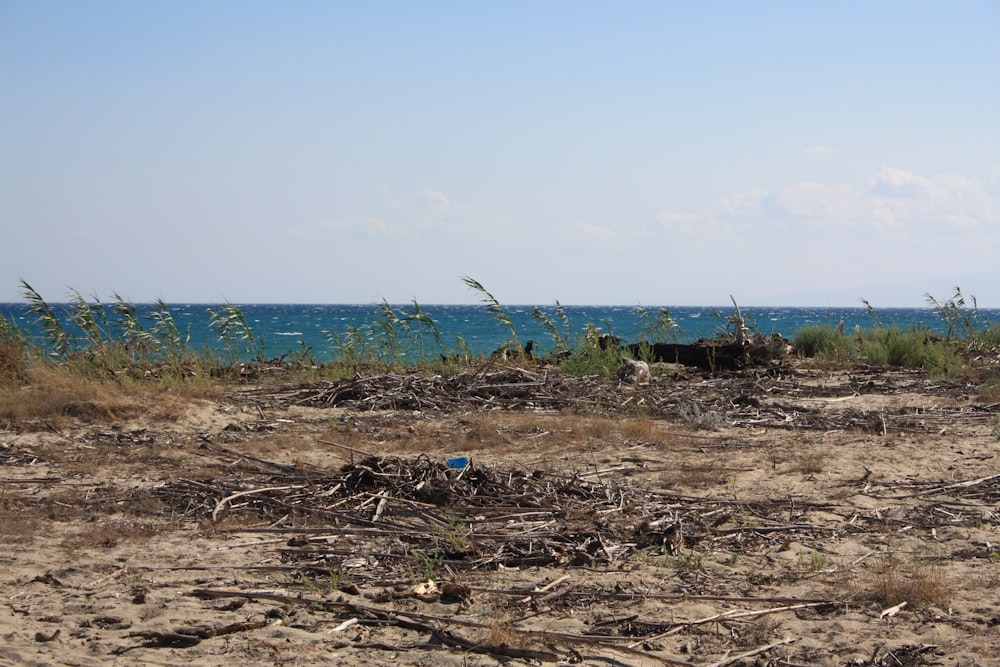 a view of the ocean from a sandy beach