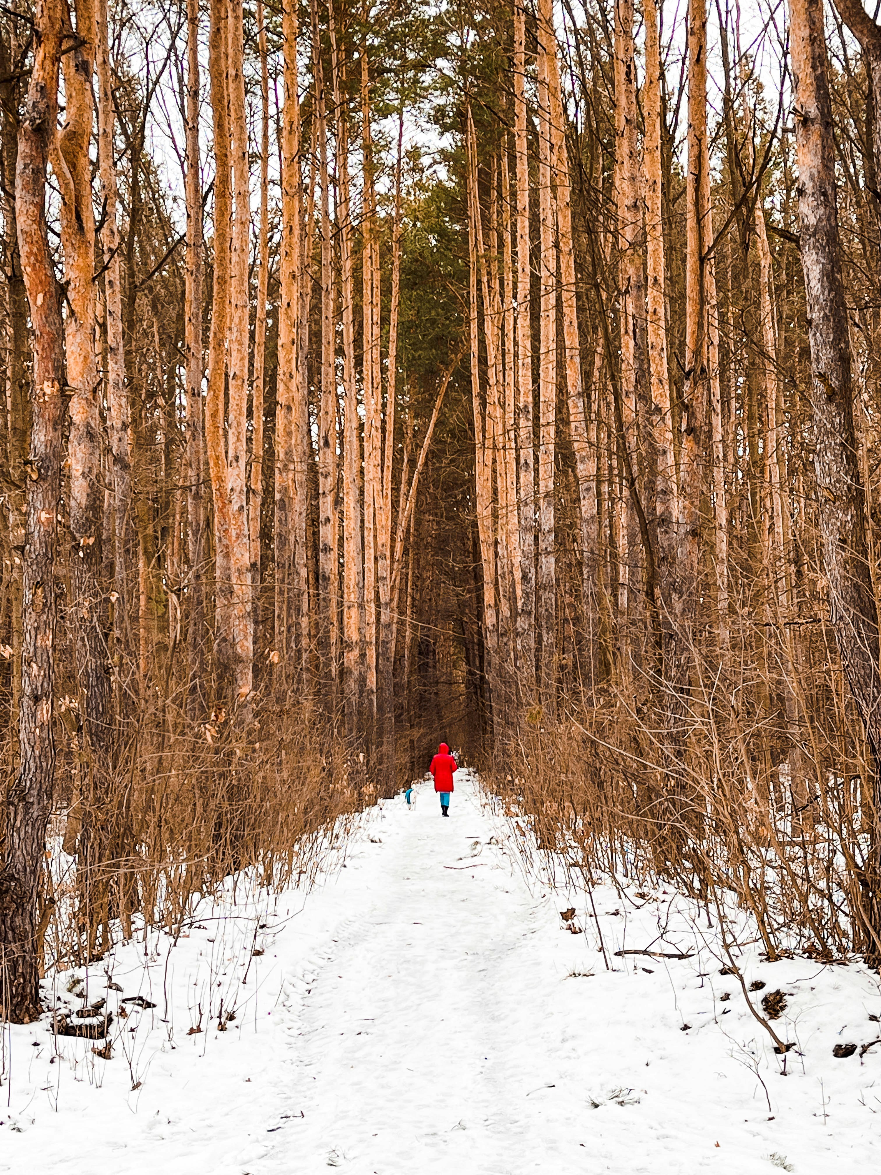 Photo by travelertraveler_