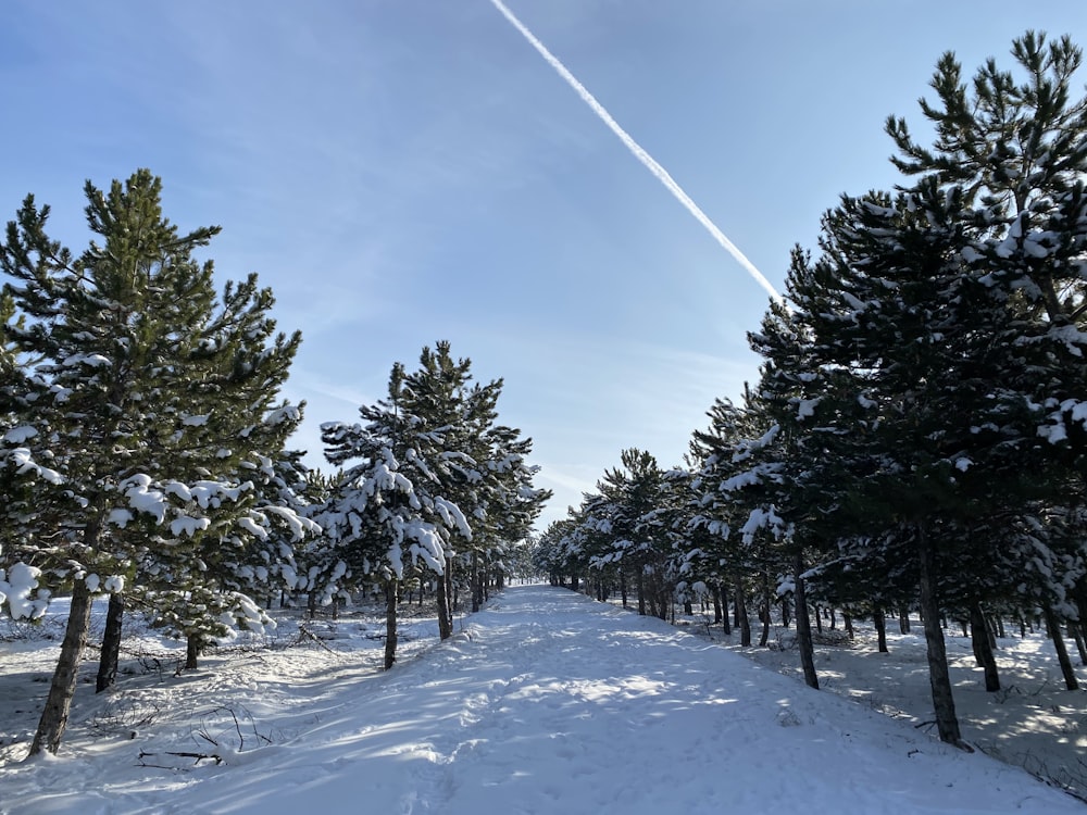 a snow covered road with trees and a plane in the sky