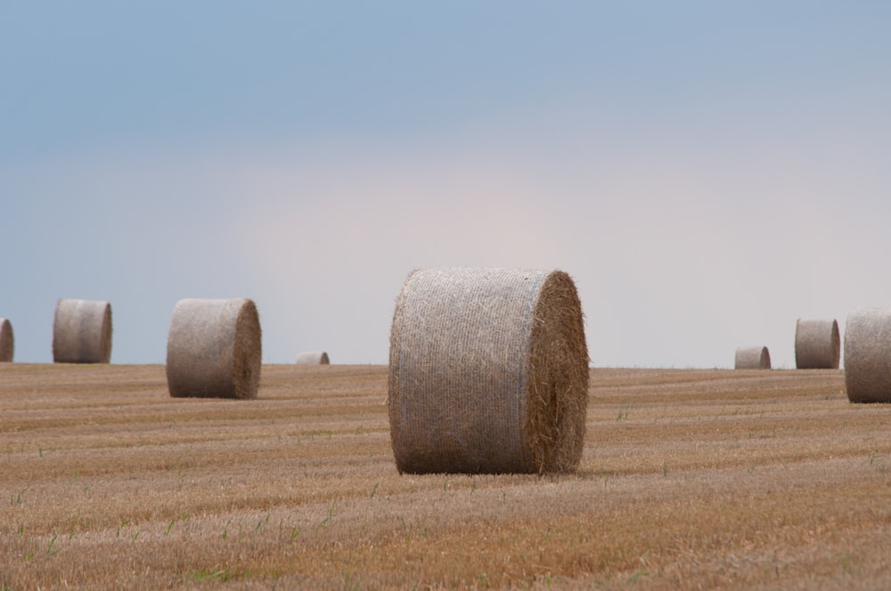 a pile of hay