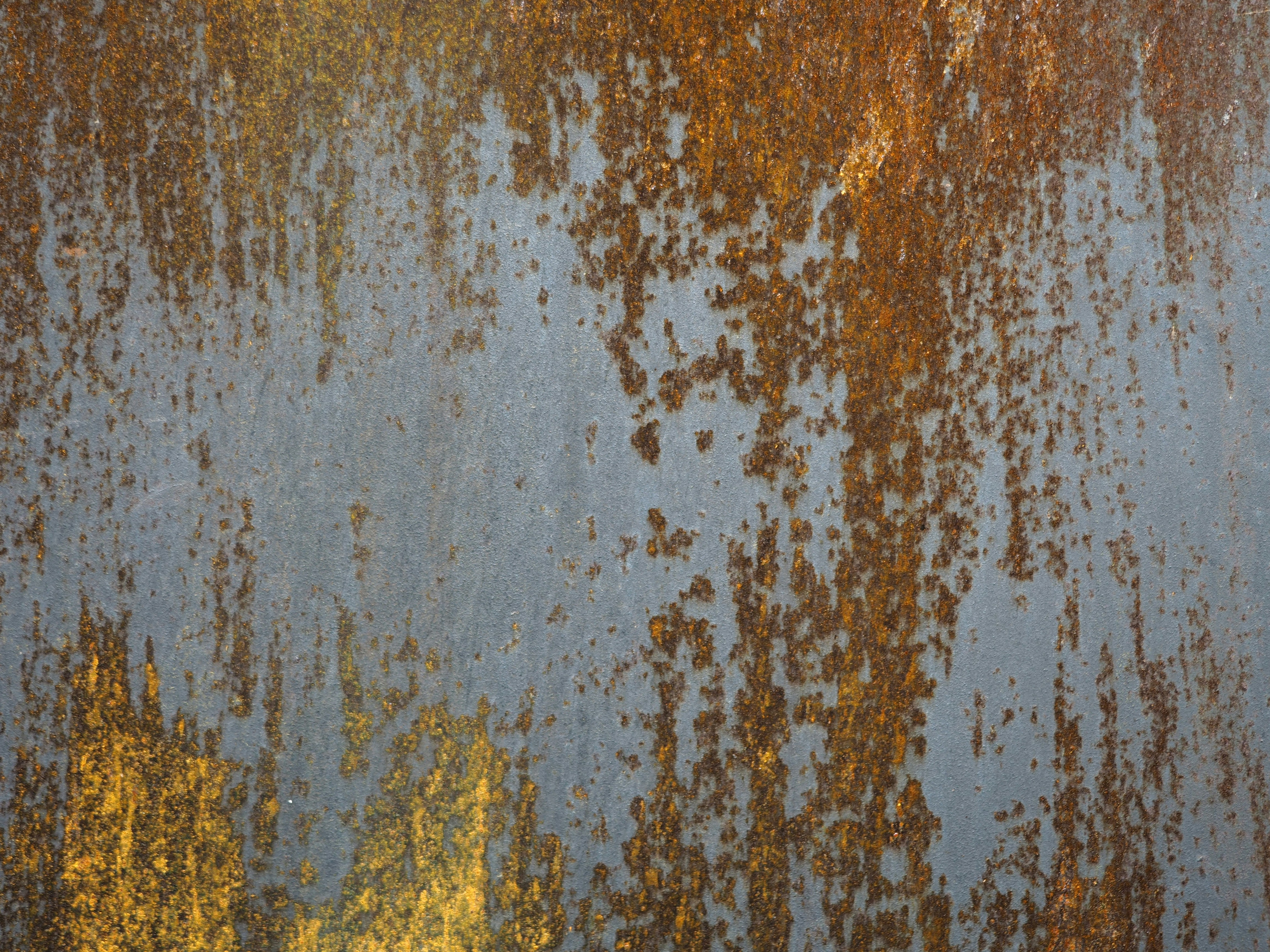 Photo by mariskavereijken