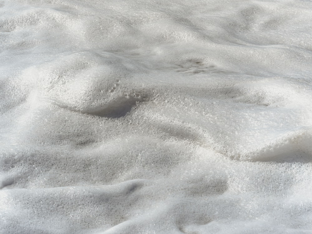 a bird is standing in the snow on a sunny day