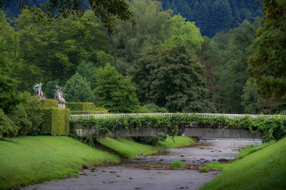 a bridge over a small stream in a lush green park