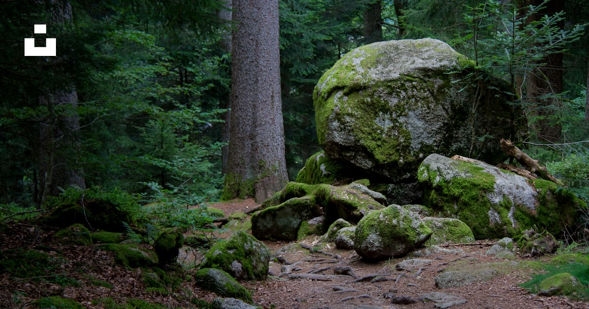 Un gros rocher au milieu d’une forêt photo – Photo Allemagne Gratuite ...