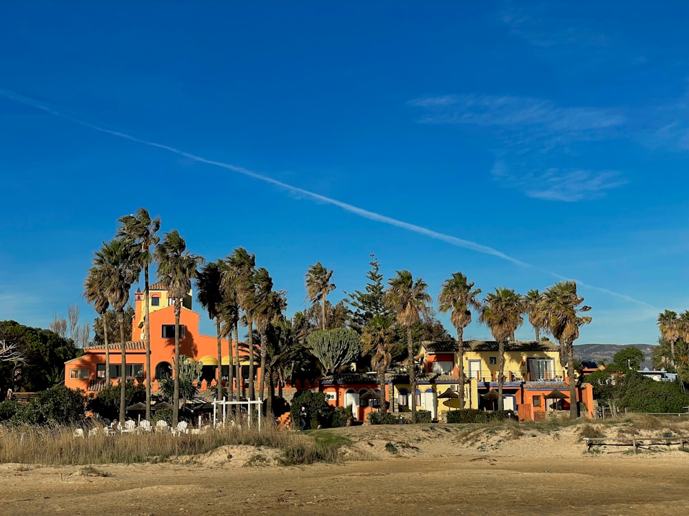 a row of palm trees in front of a building