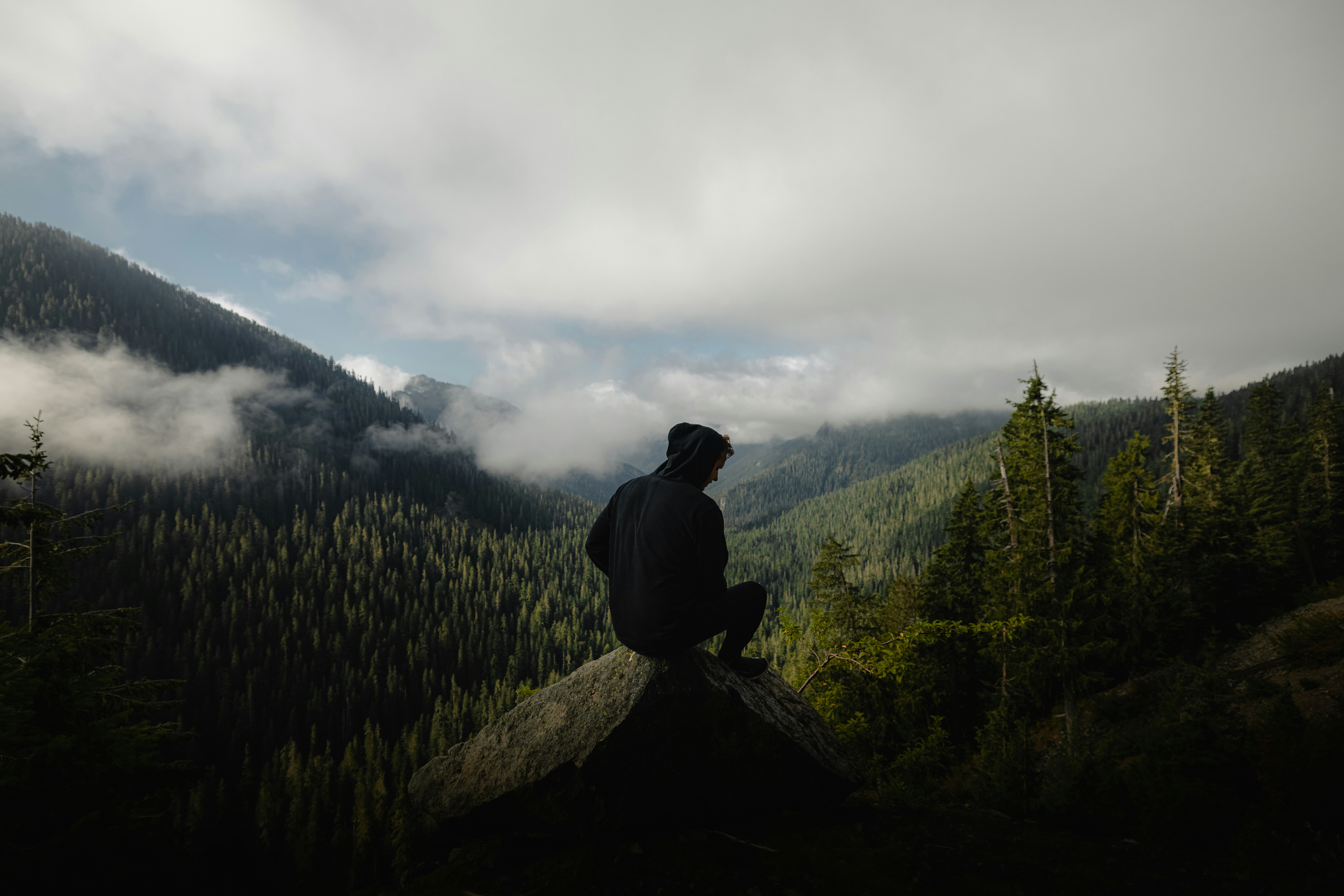 Photo by willrust
