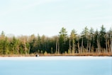 A scenic winter landscape with a frozen lake and pine trees.