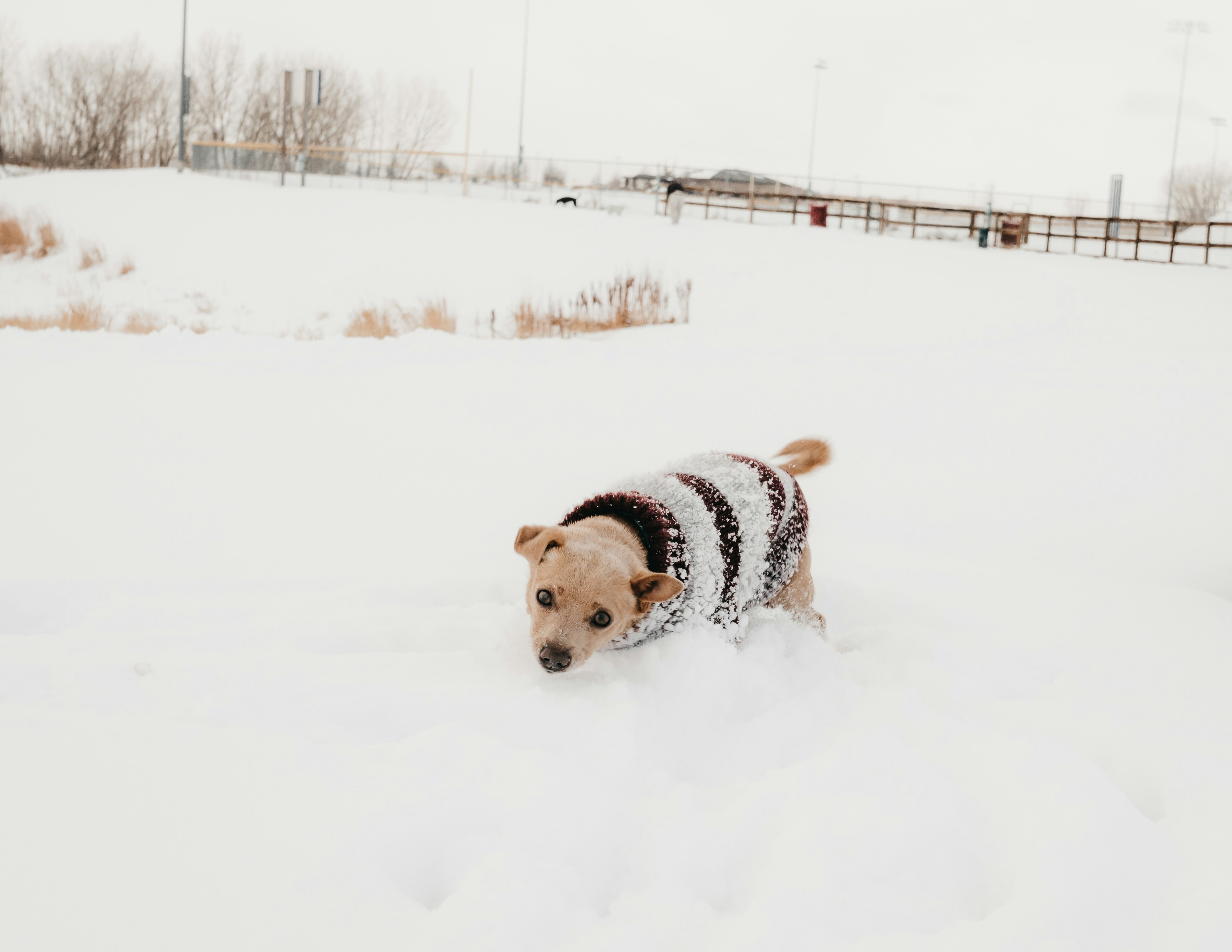 Photo by photosoflogan