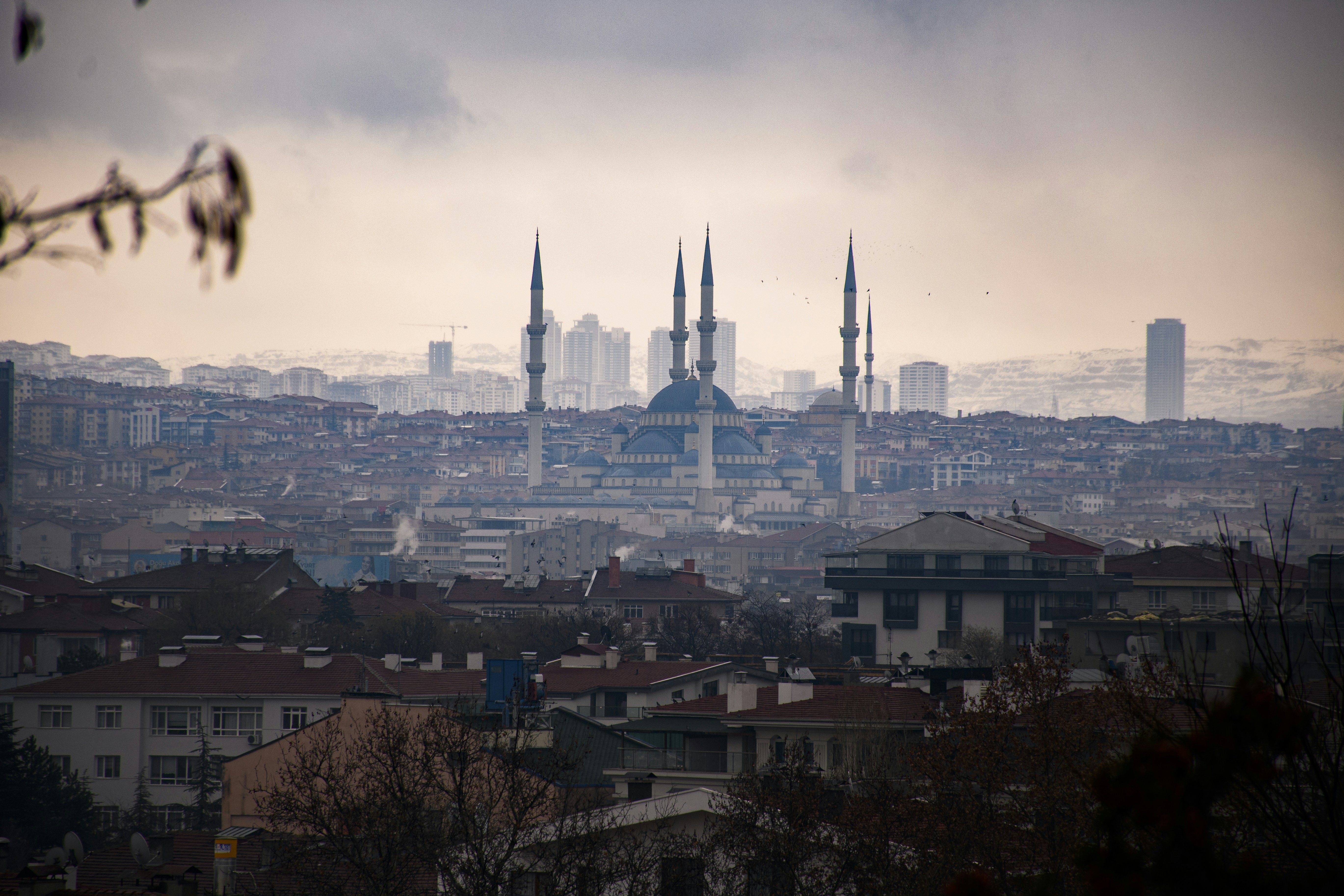 Photo by oskaycaglar