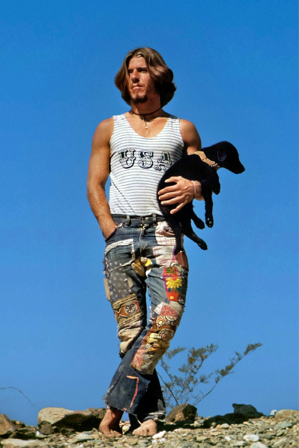 a man holding a dog on top of a rocky hill