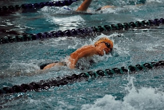 a group of people swimming in a pool