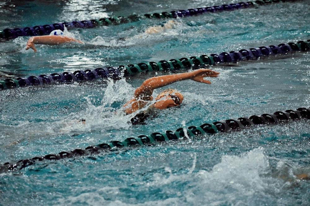 a group of people swimming in a pool