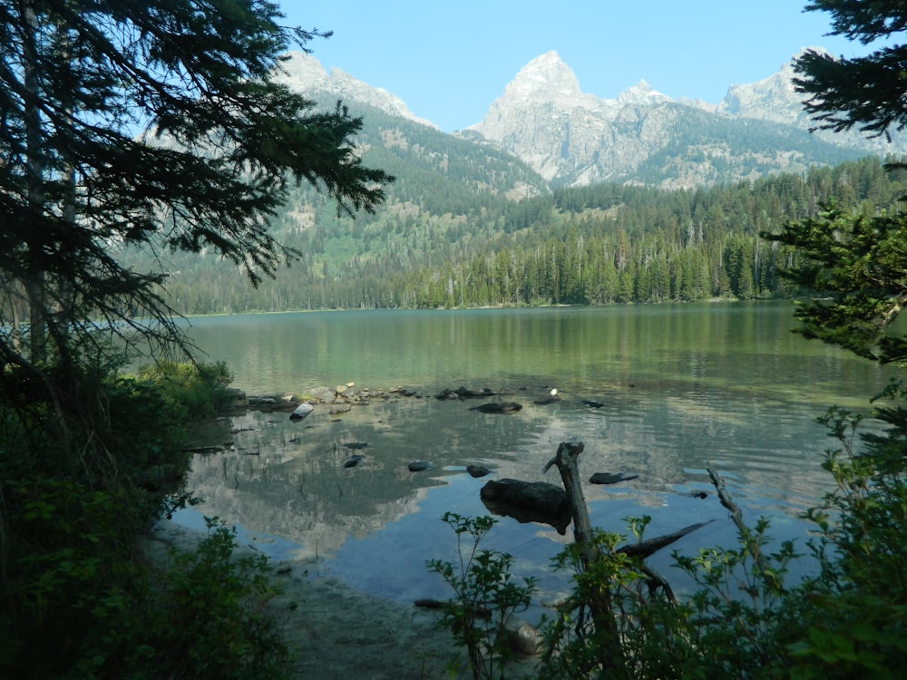 a lake surrounded by trees with mountains in the background