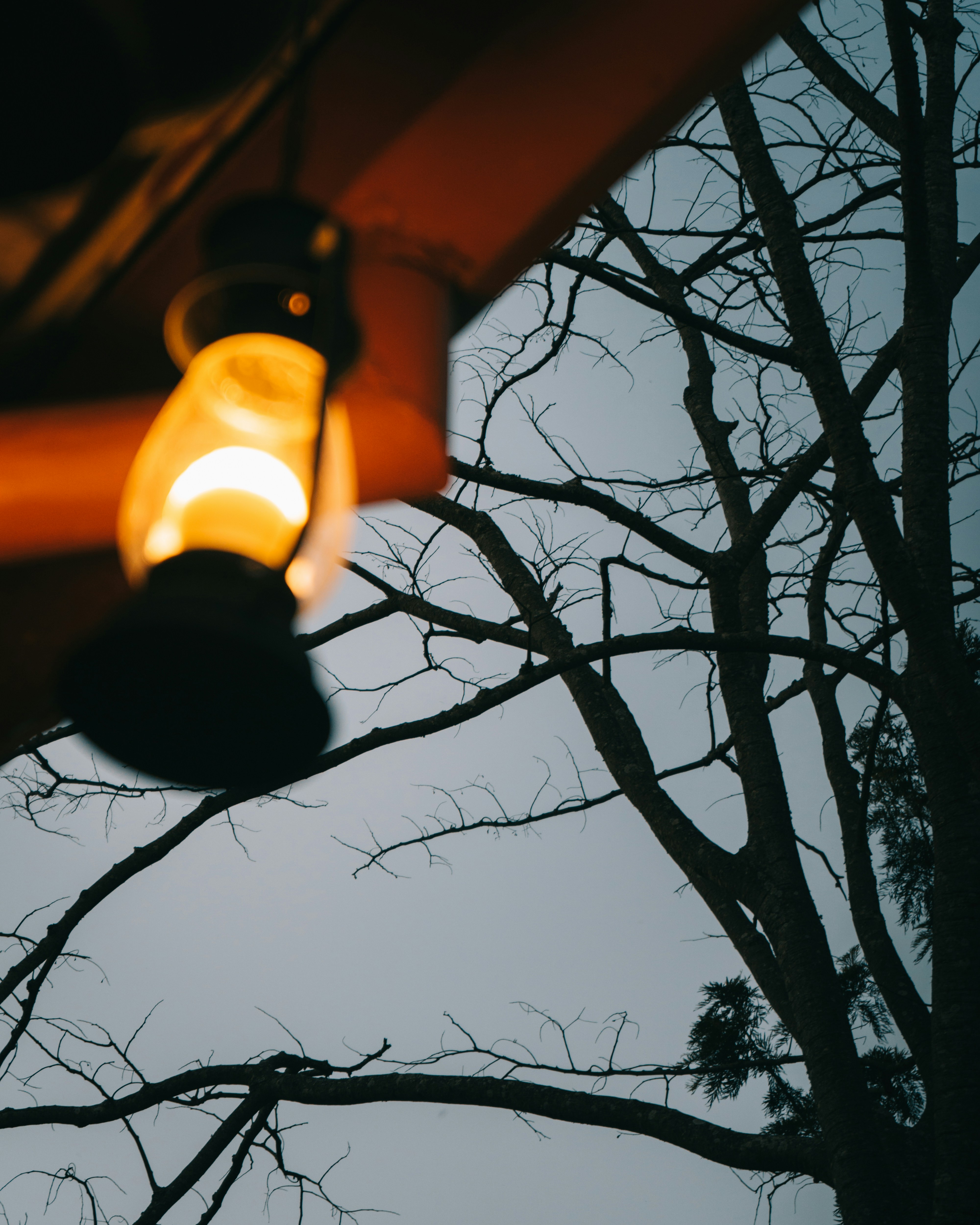 Photo by sharadmbhat