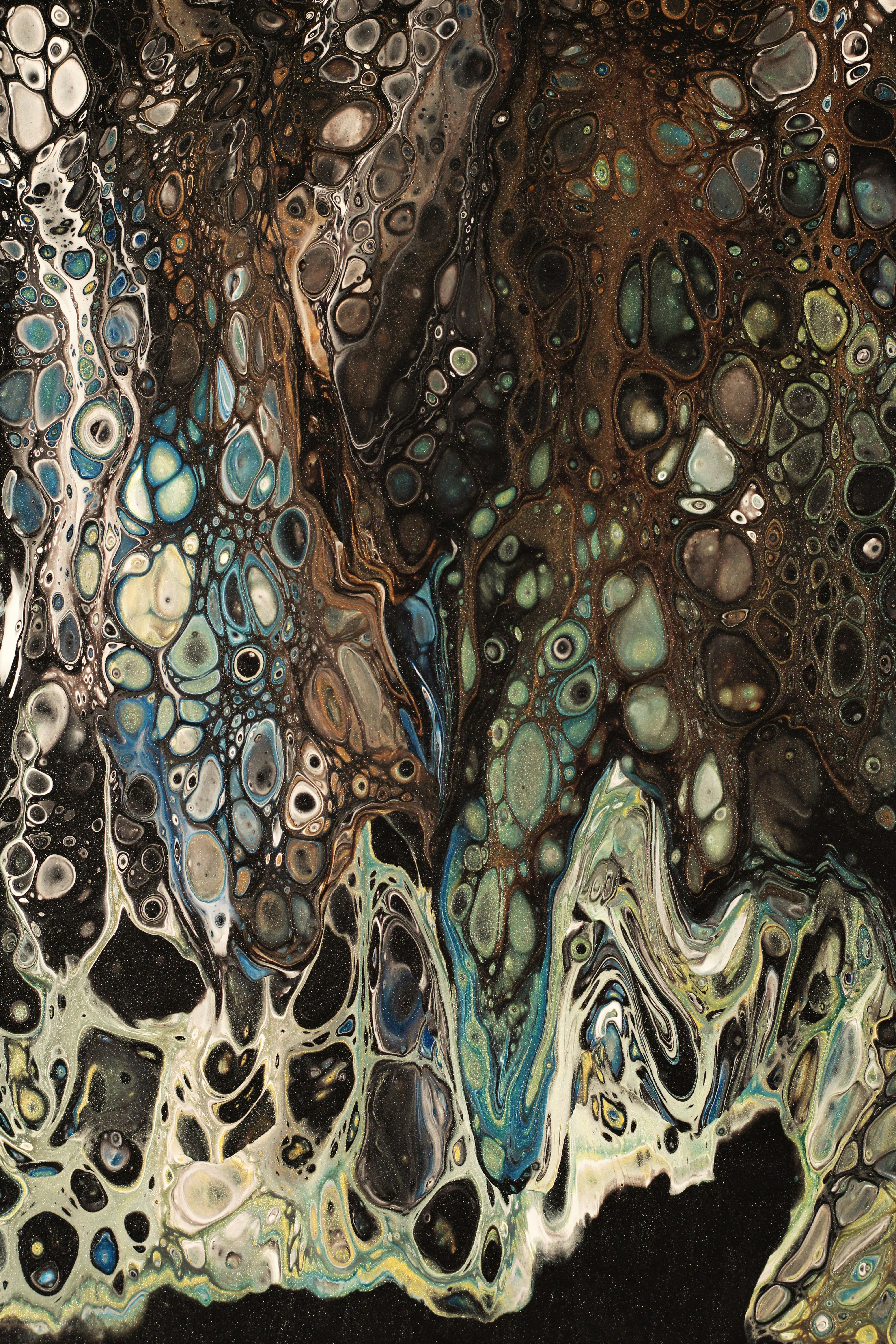 Photo by susan_wilkinson