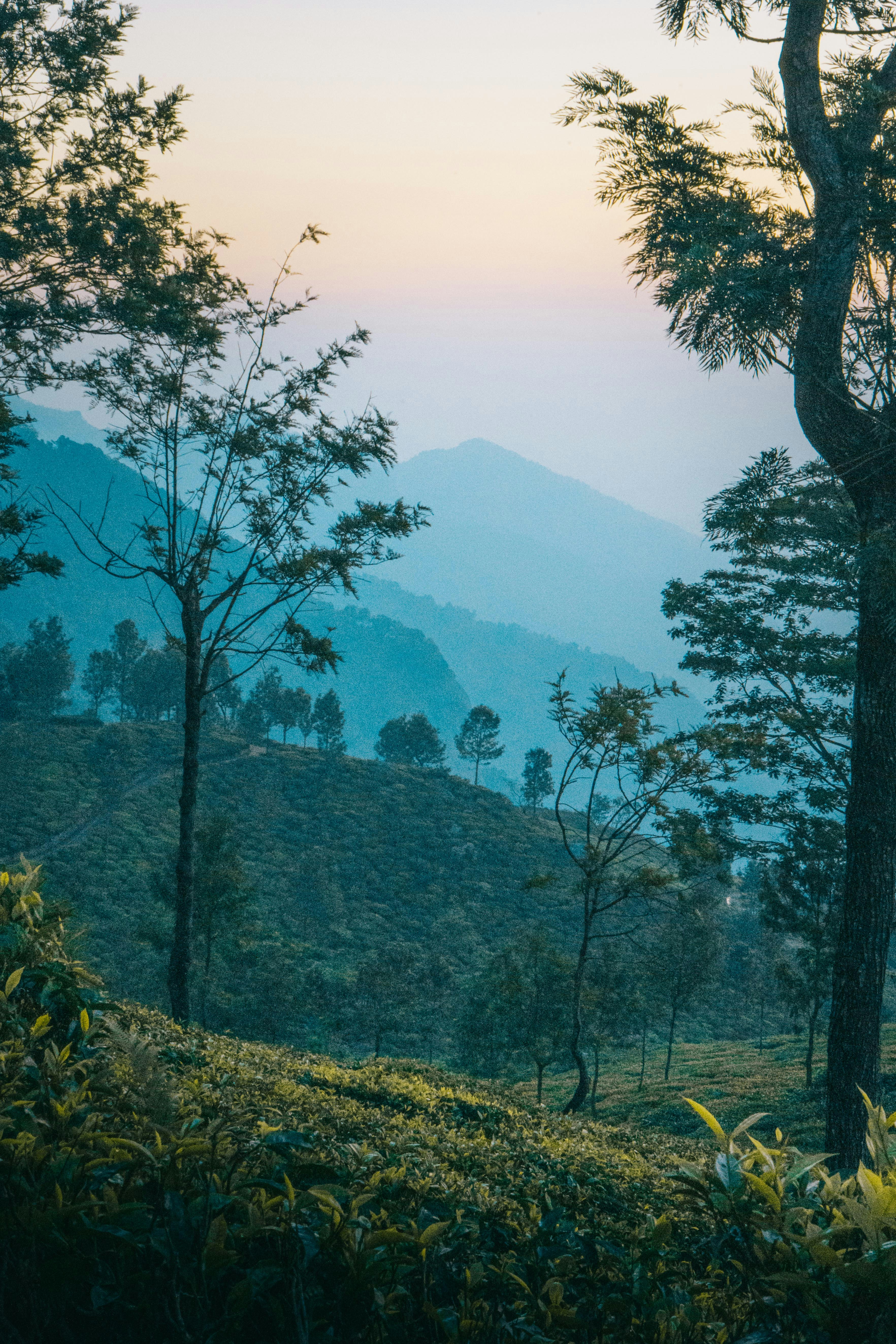 Photo by sharadmbhat