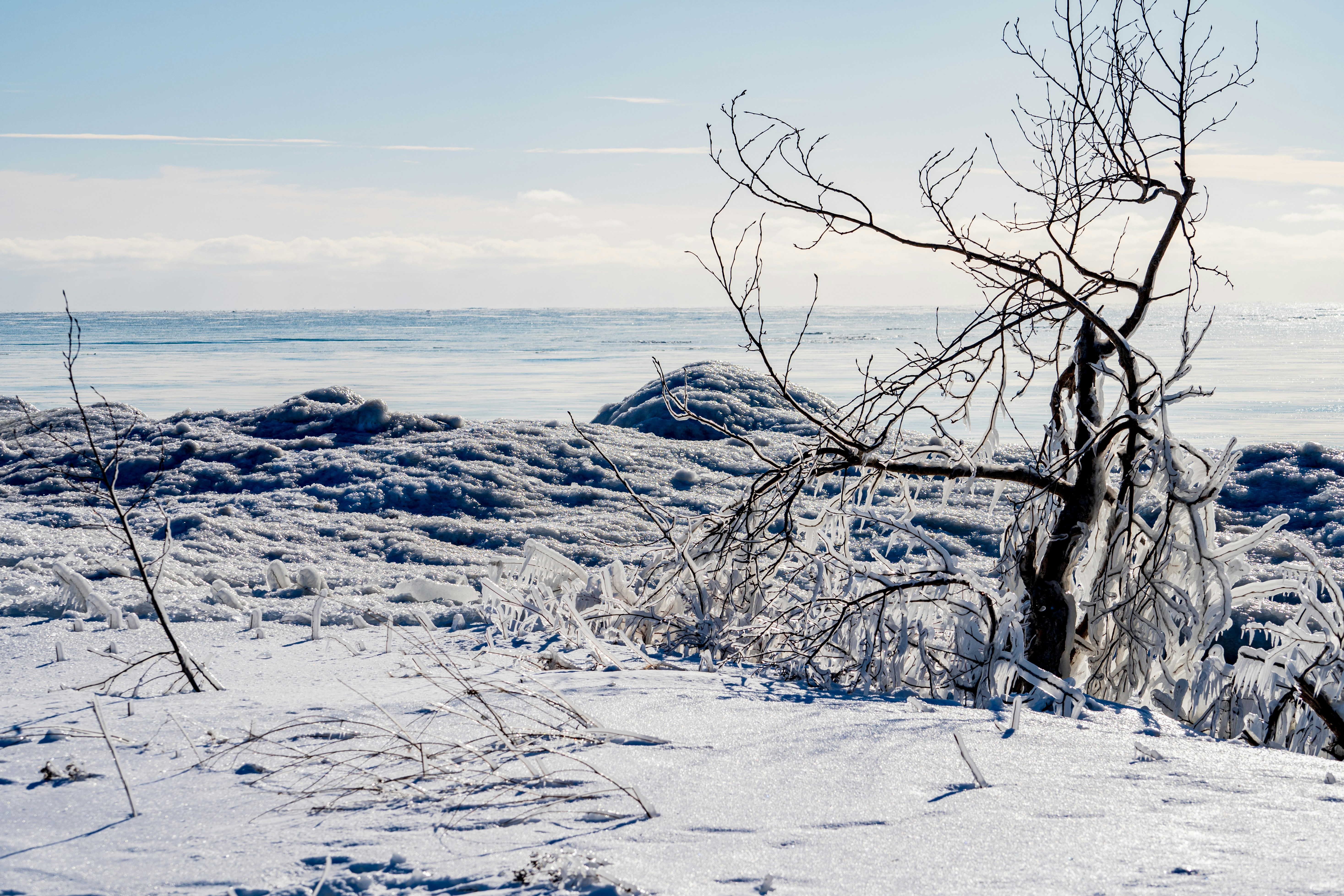 Photo by chris_robert