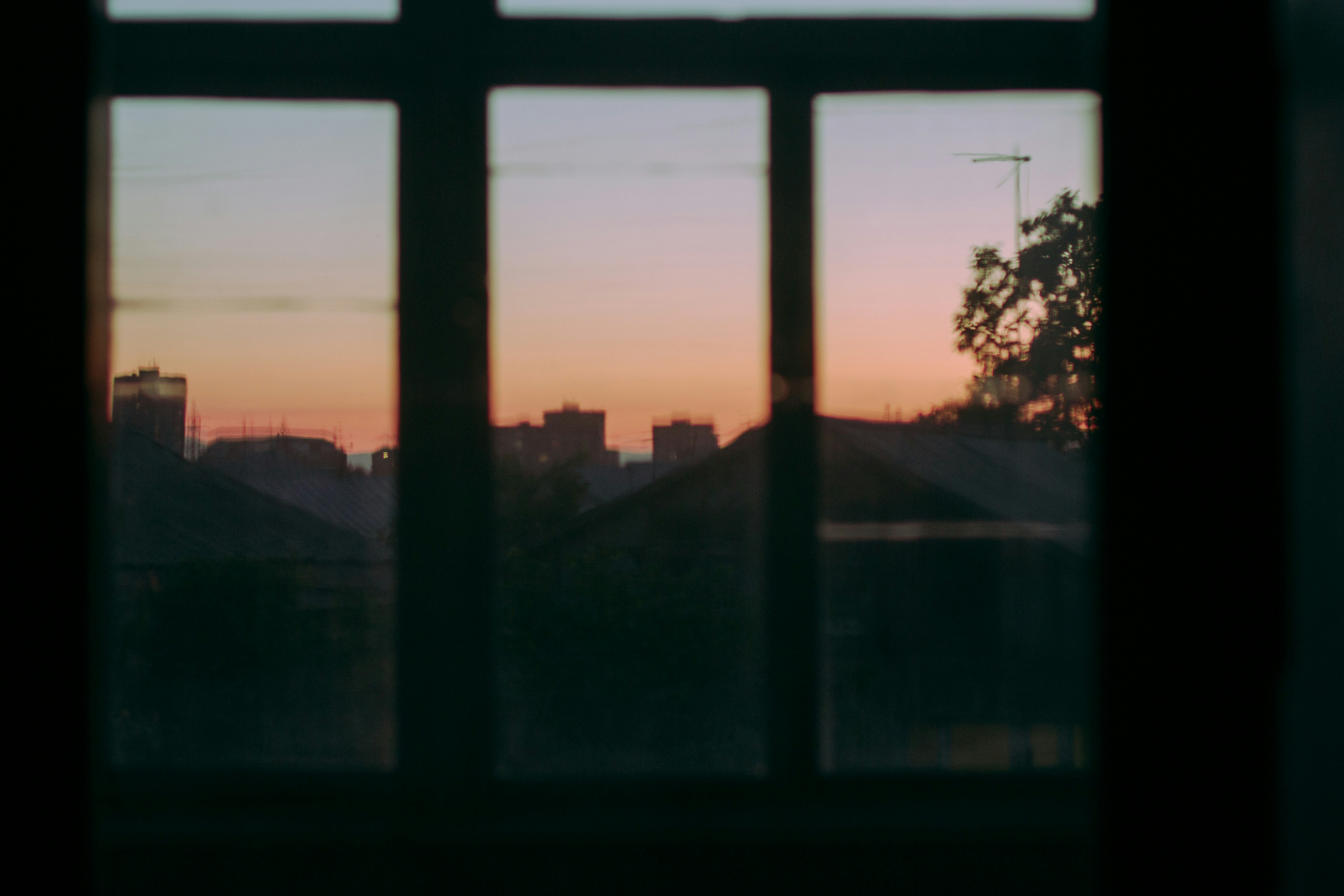 Photo by koryunhills