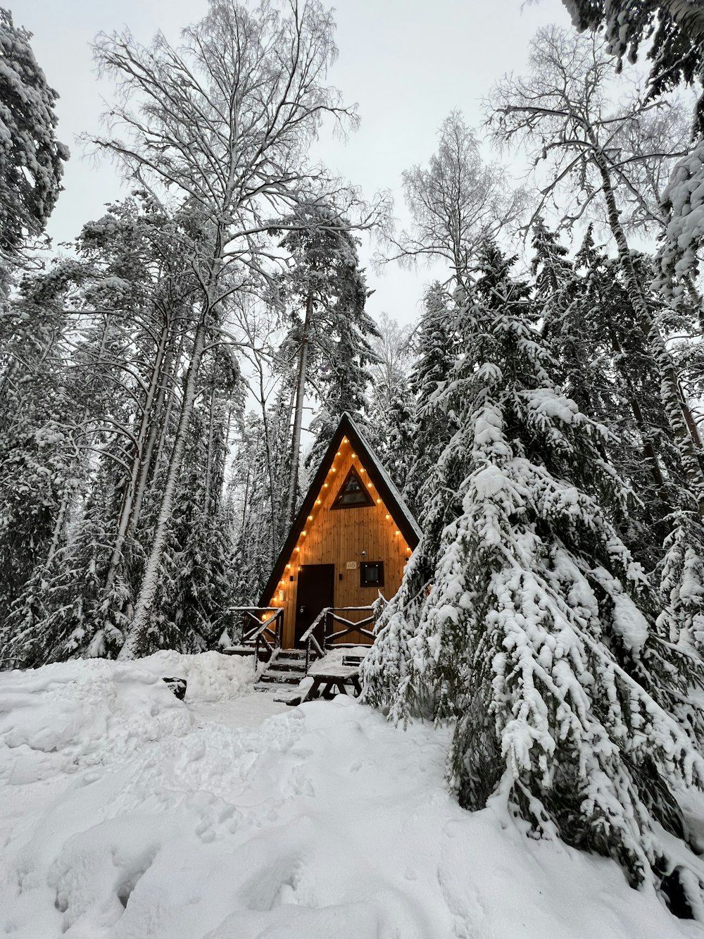 a cabin in the middle of a snowy forest