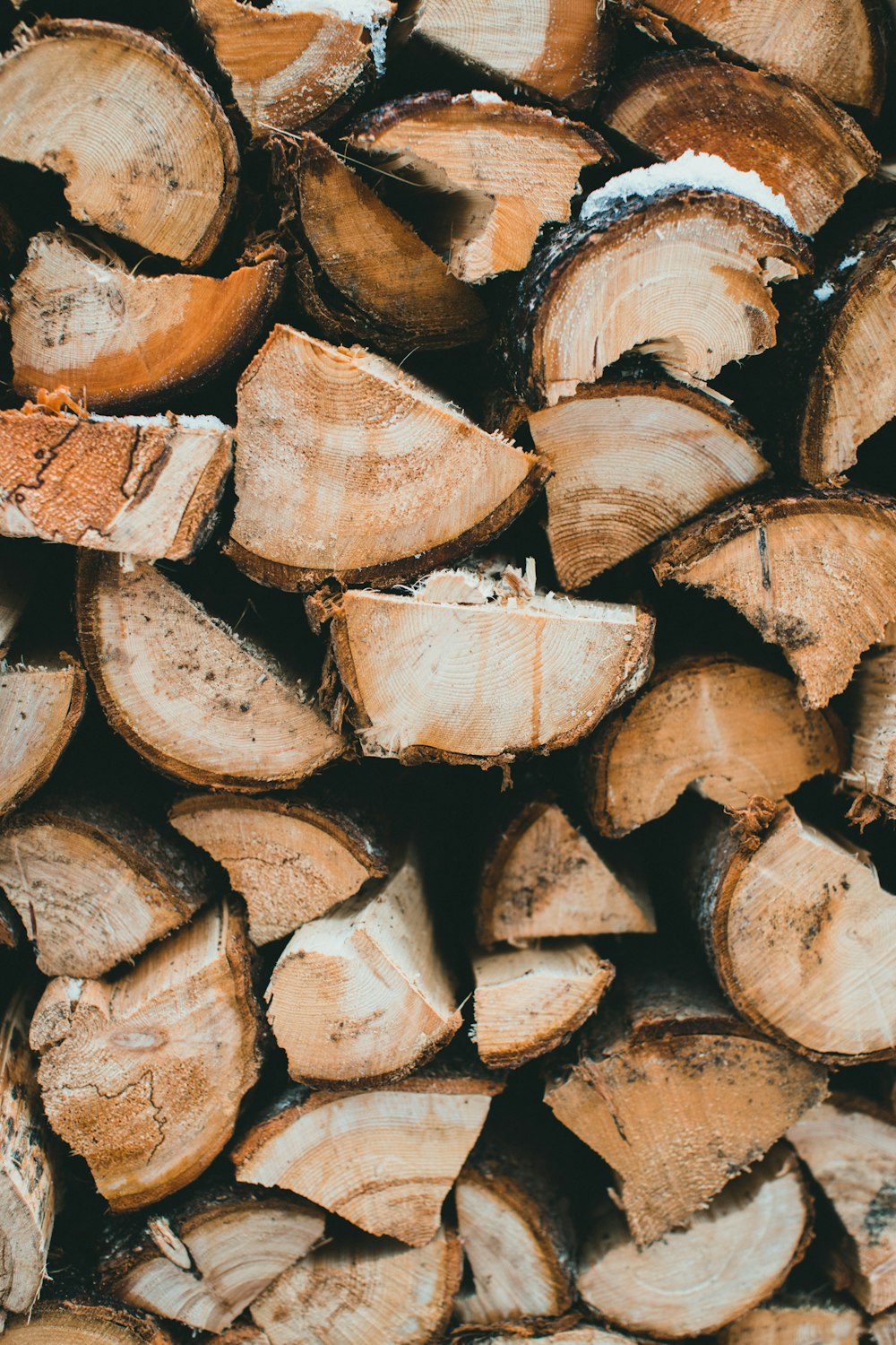 a pile of cut logs with snow on them