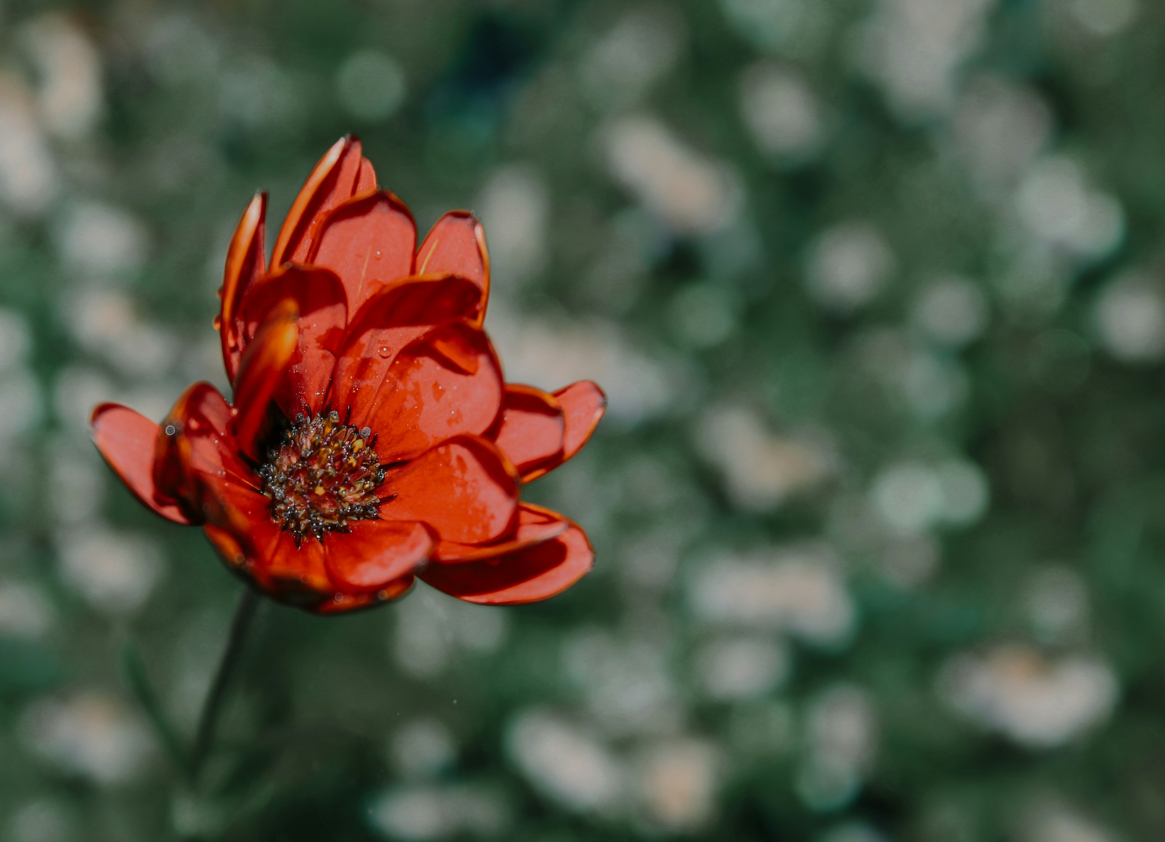 Photo by alexlawrence