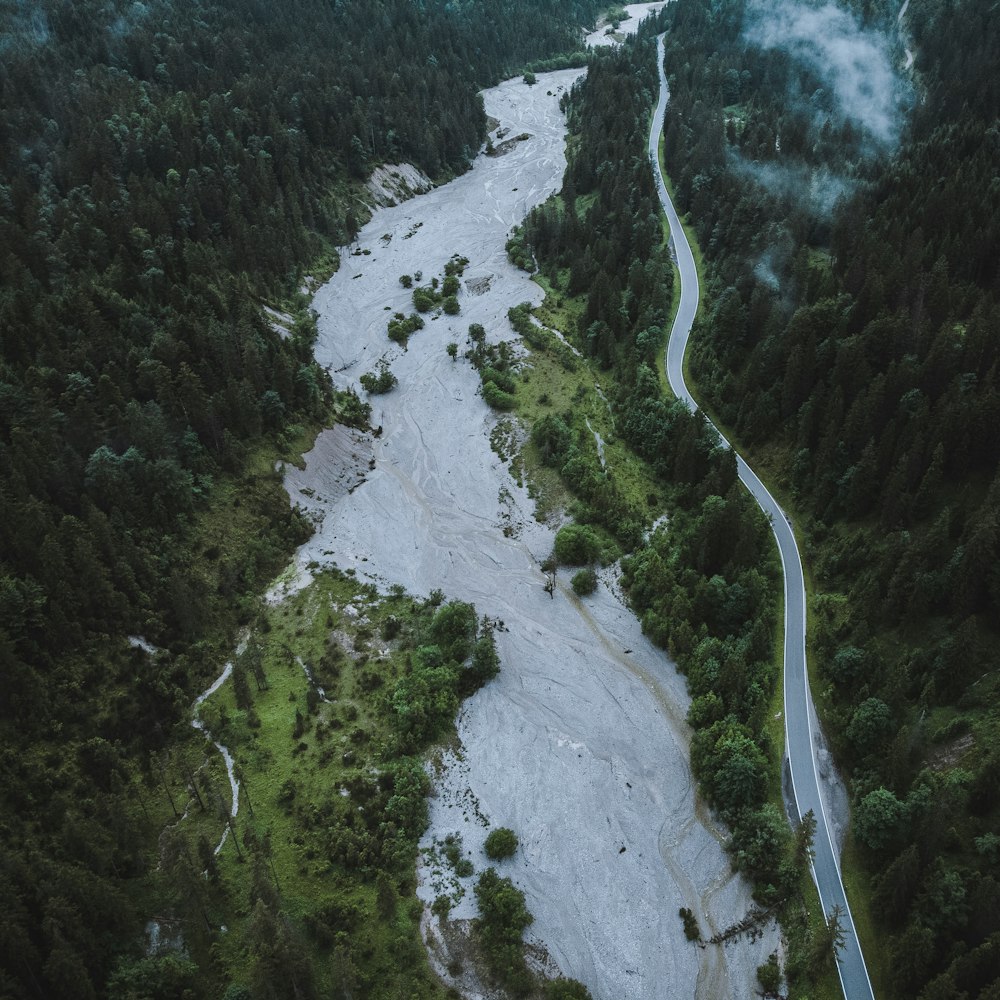 a river flowing through a lush green forest