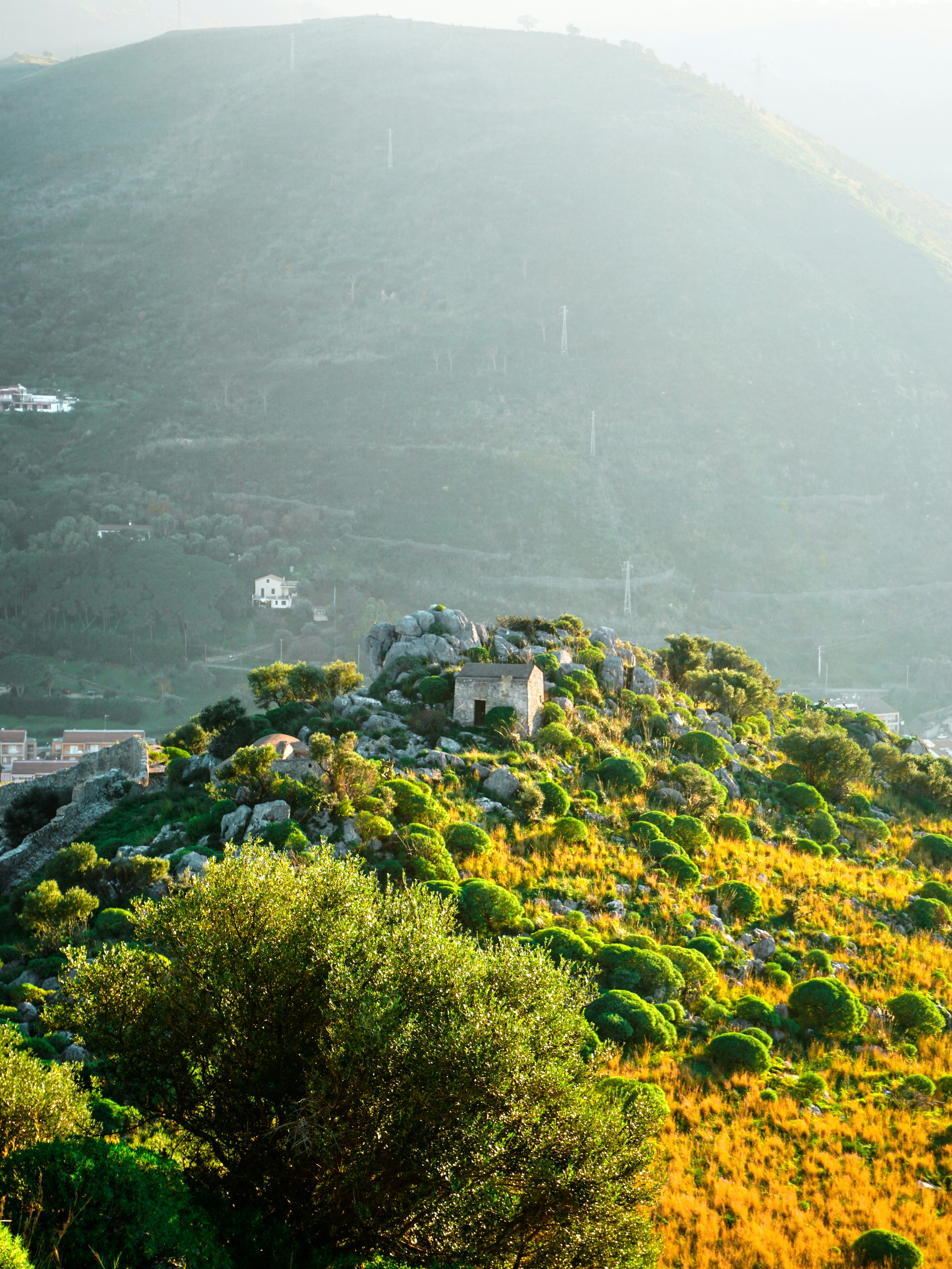 Photo by curiouscaptures