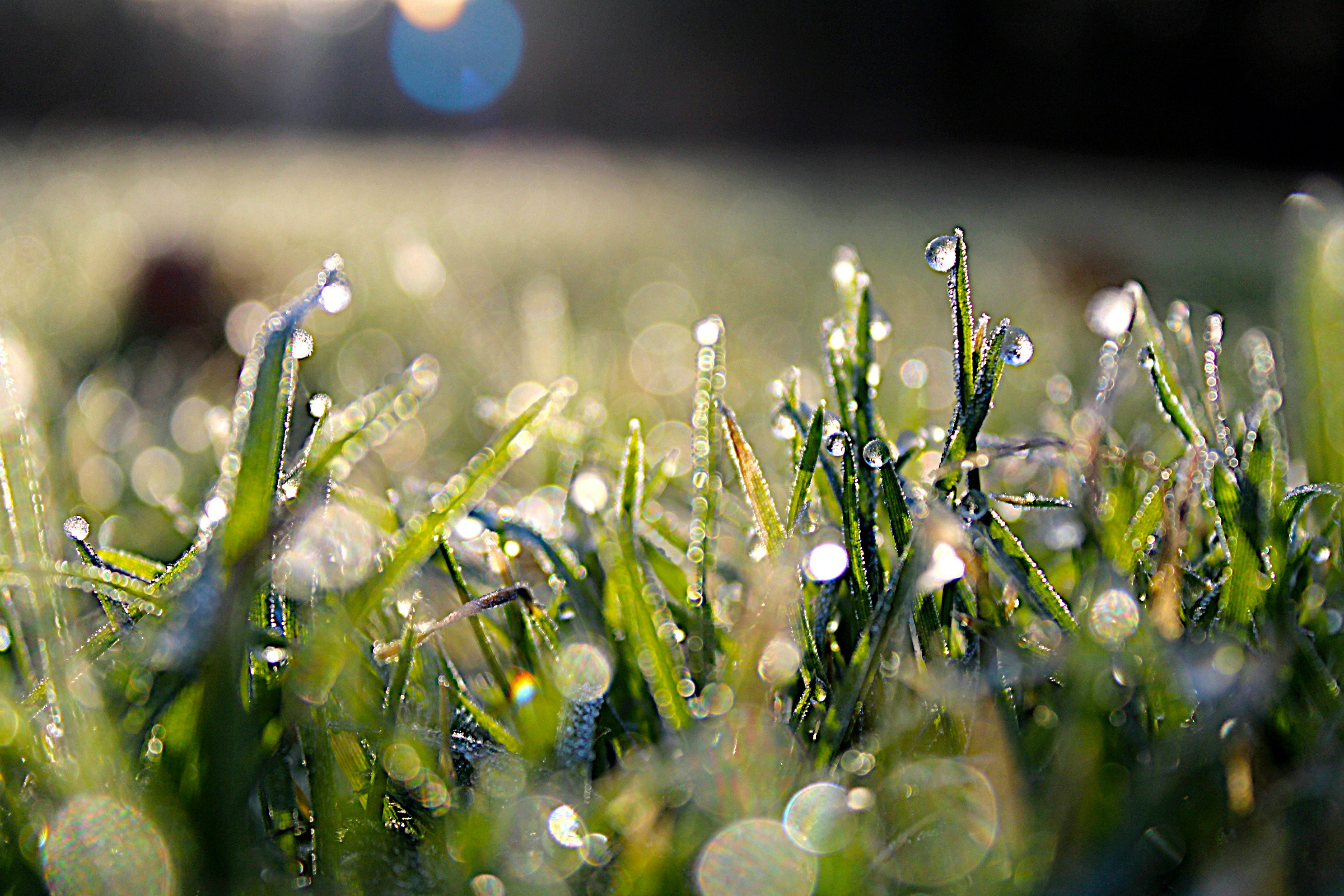 Photo by isaacstevenlind