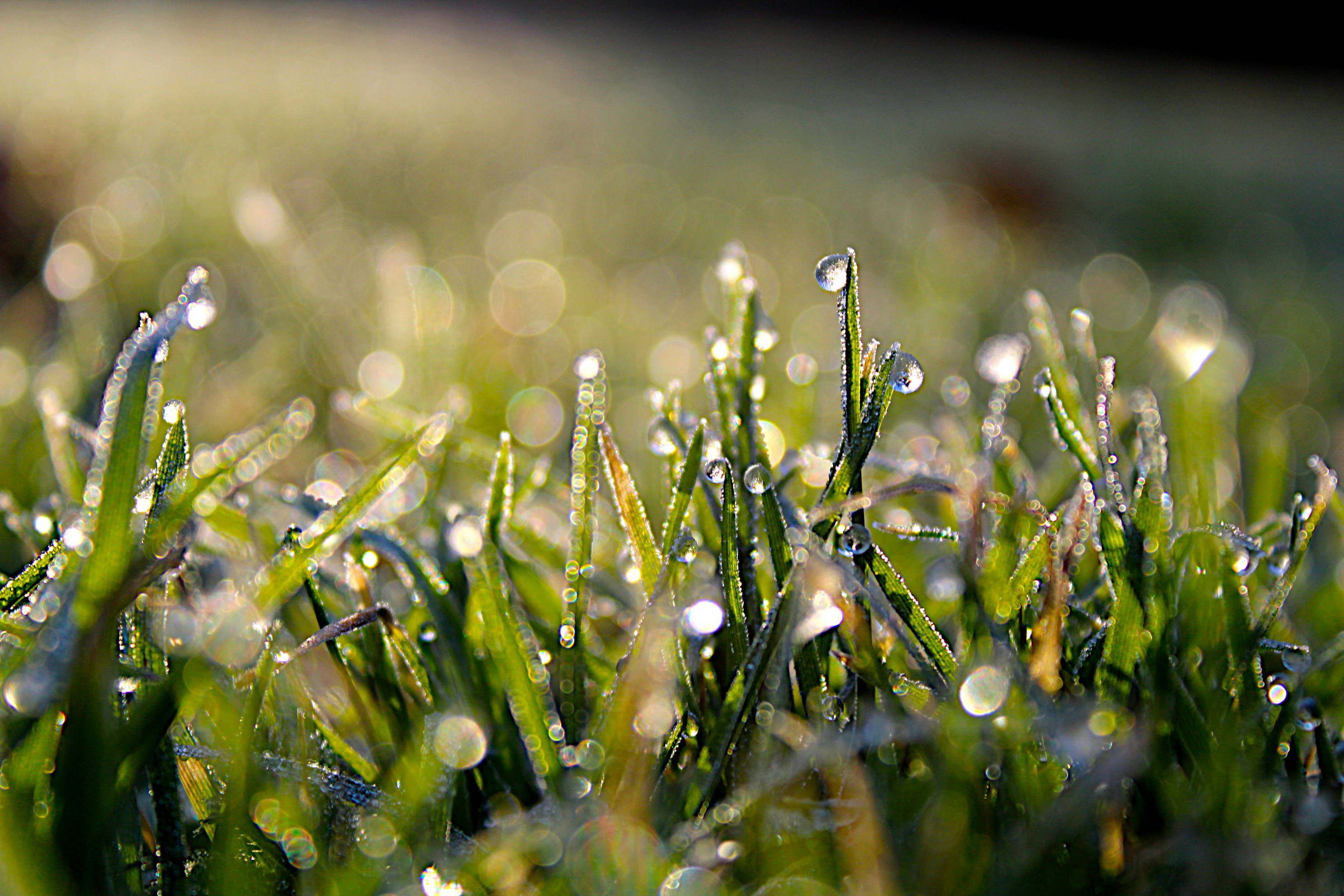 Photo by isaacstevenlind