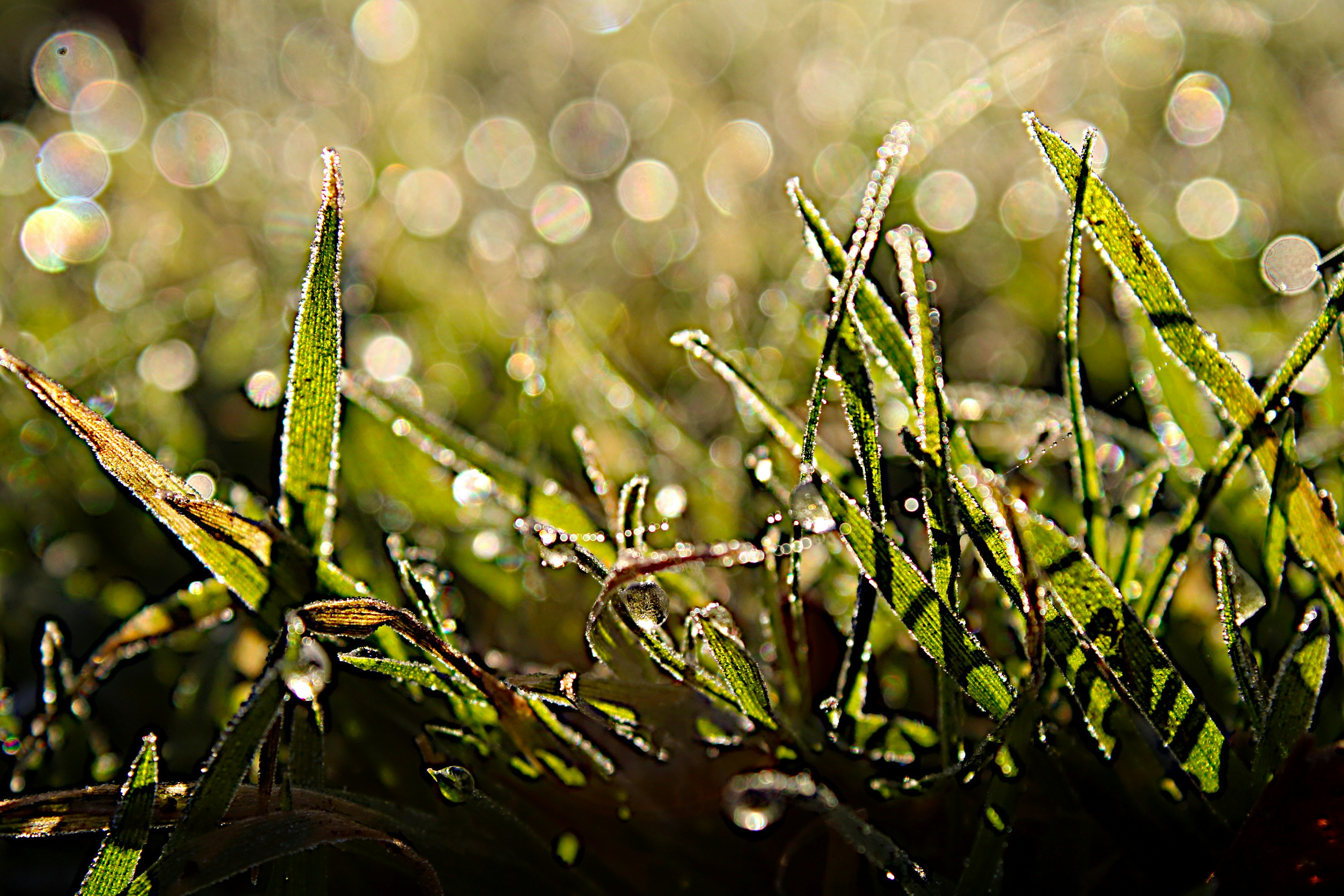 Photo by isaacstevenlind