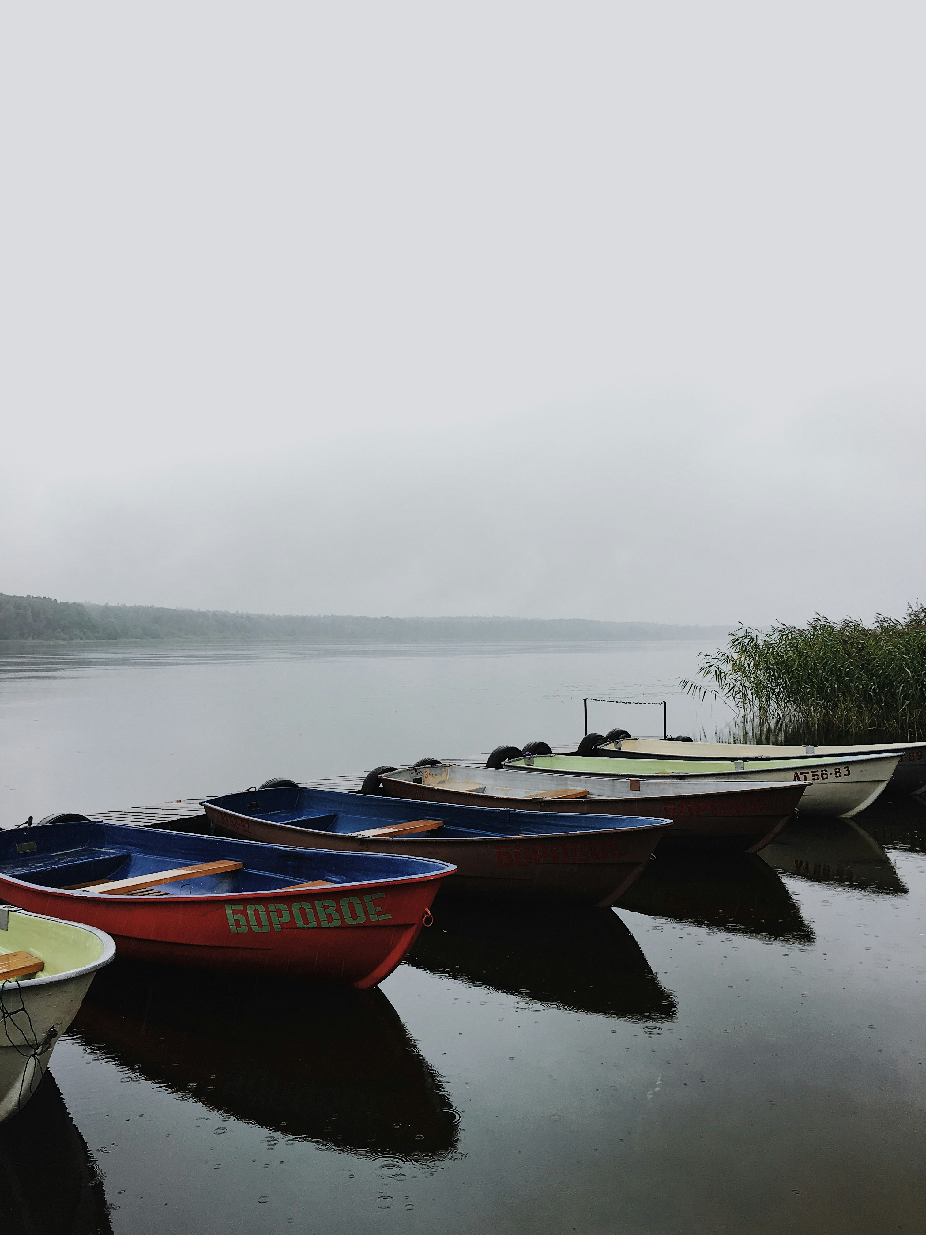 Photo by idbronskiy