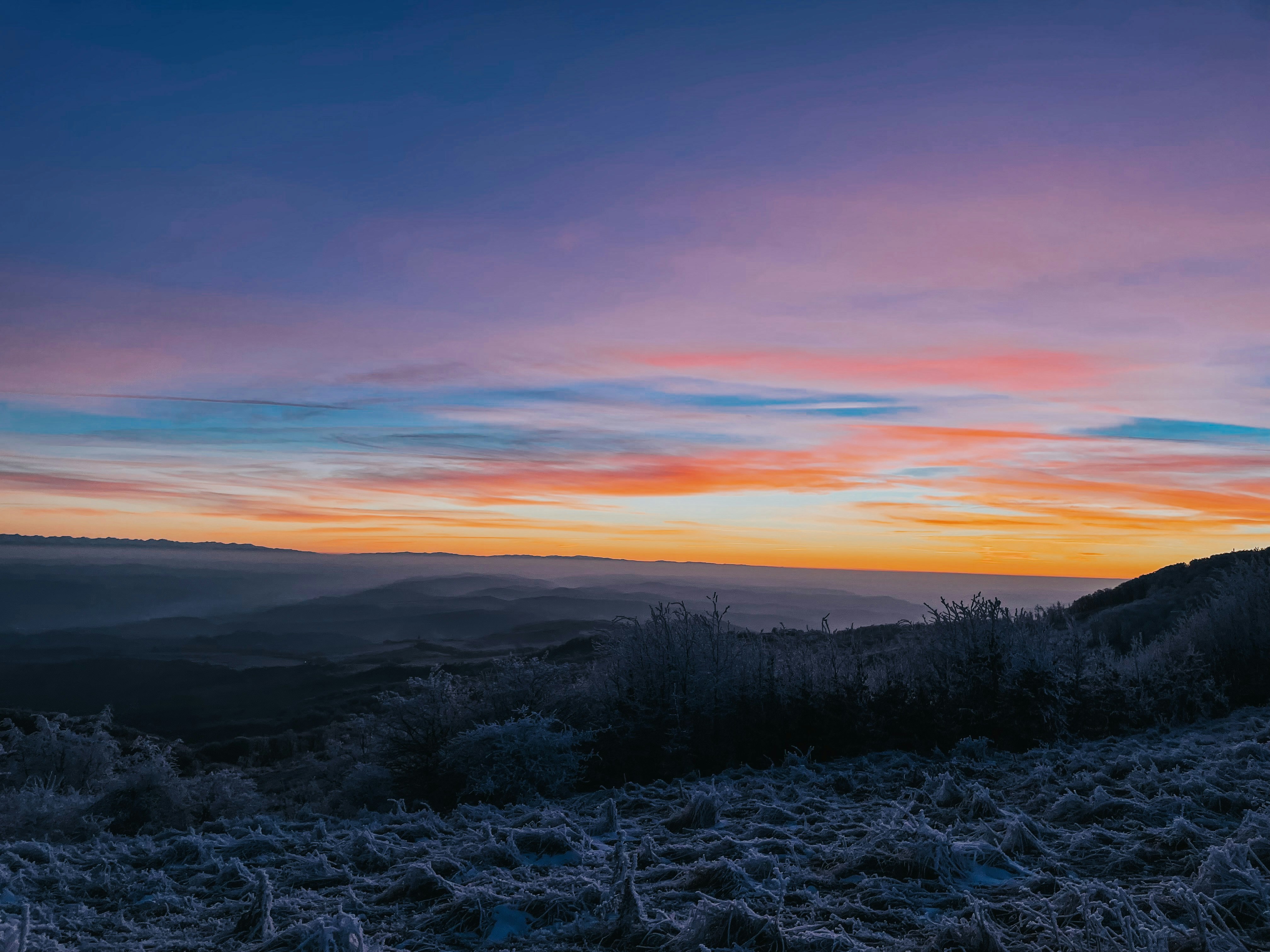 Photo by attilajanosi