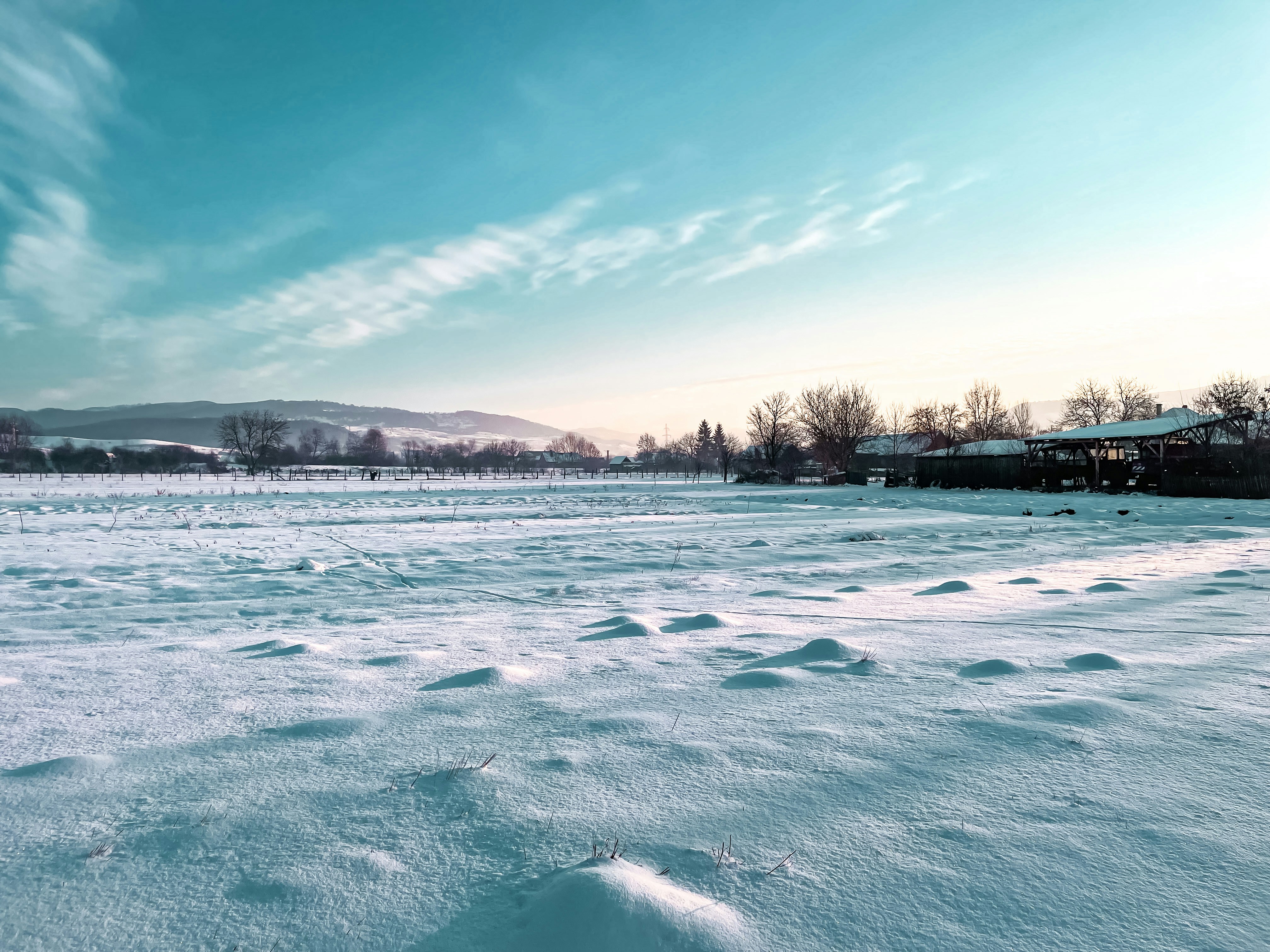 Photo by attilajanosi