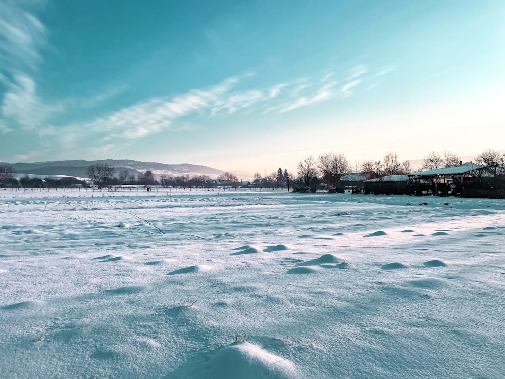 a snow covered field with a blue sky in the background