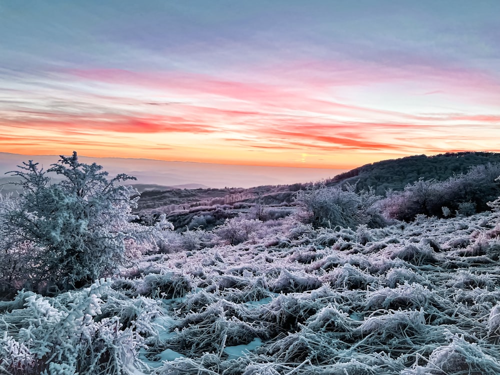 a field covered in frost with a sunset in the background