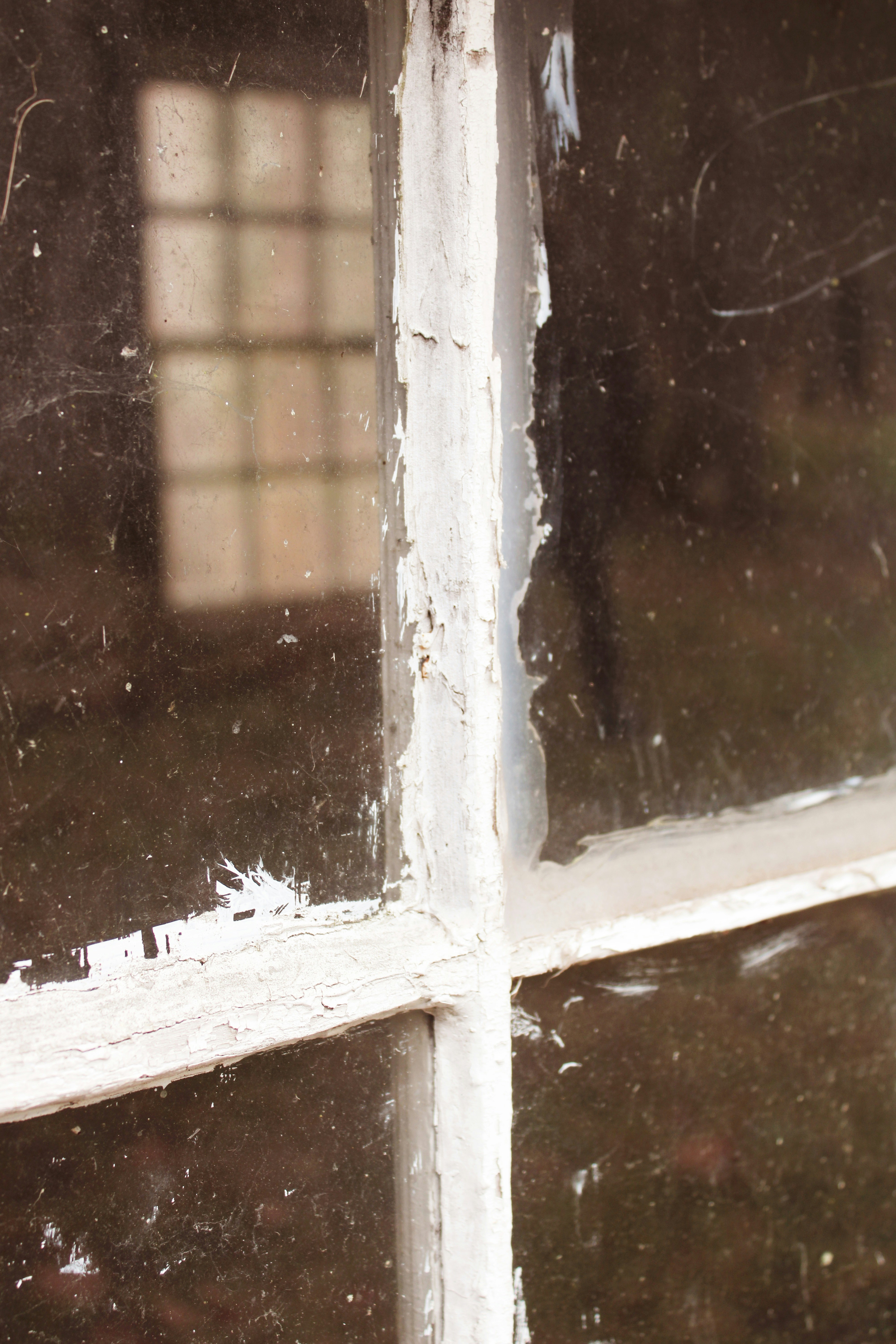 Photo by sadiecoulter